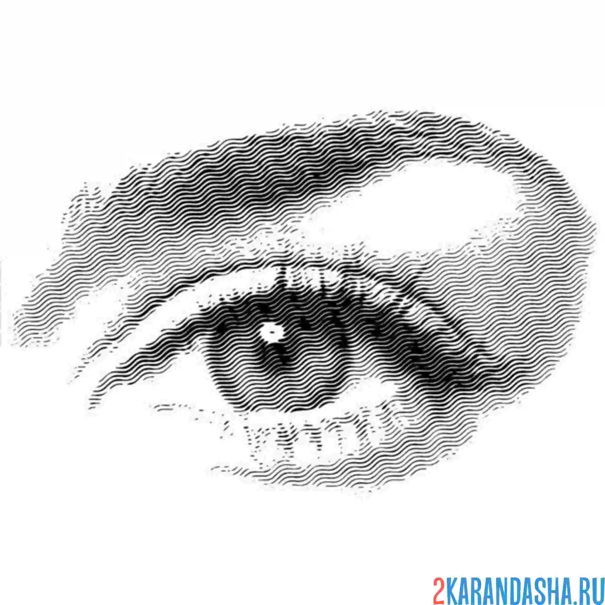 Раскраска глаз иллюстрация