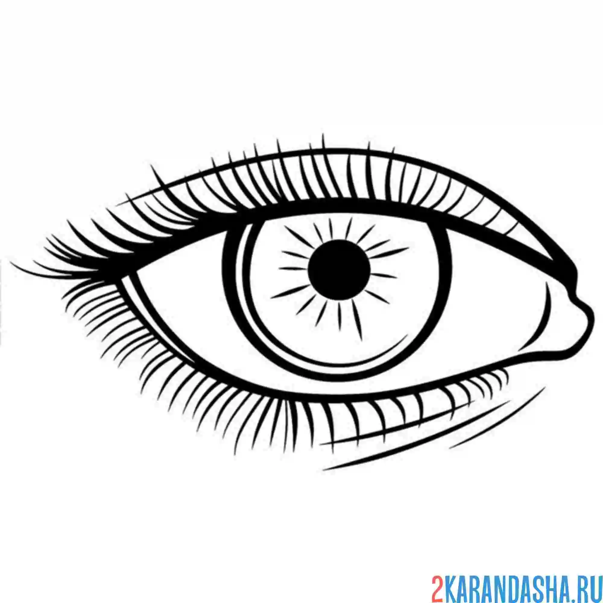 Раскраска глаз рисунок