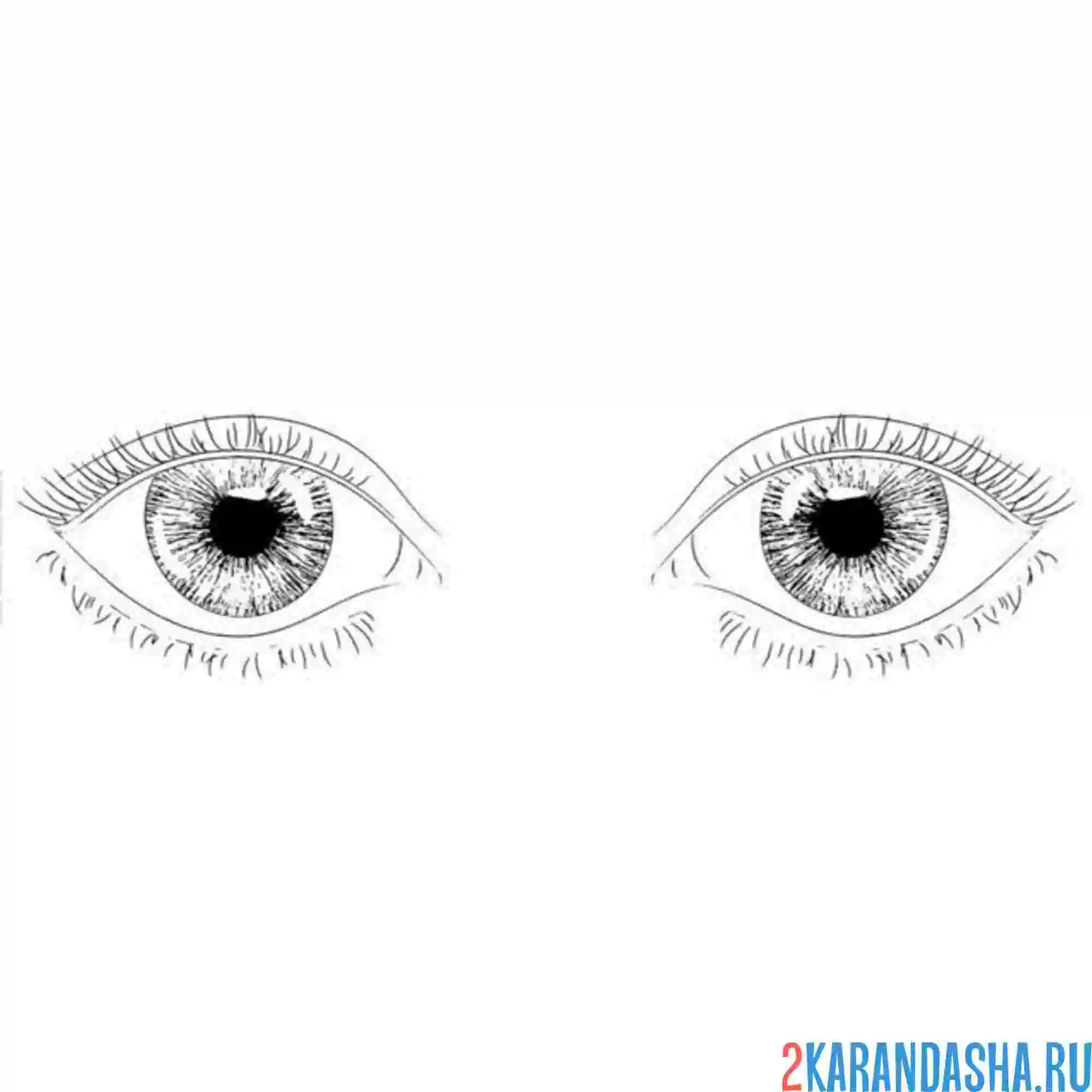 Раскраска два глаза