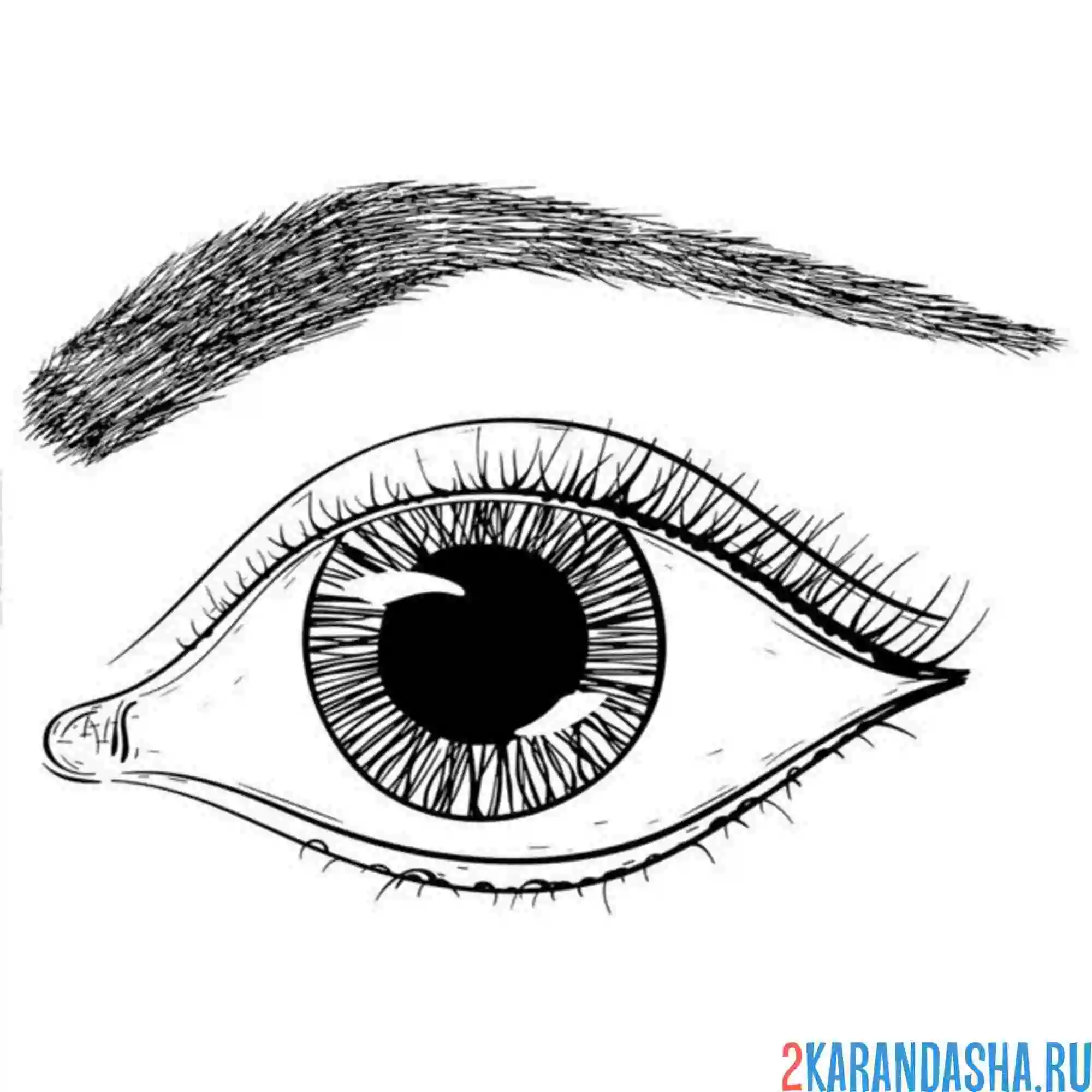 Раскраска глаз карандашом