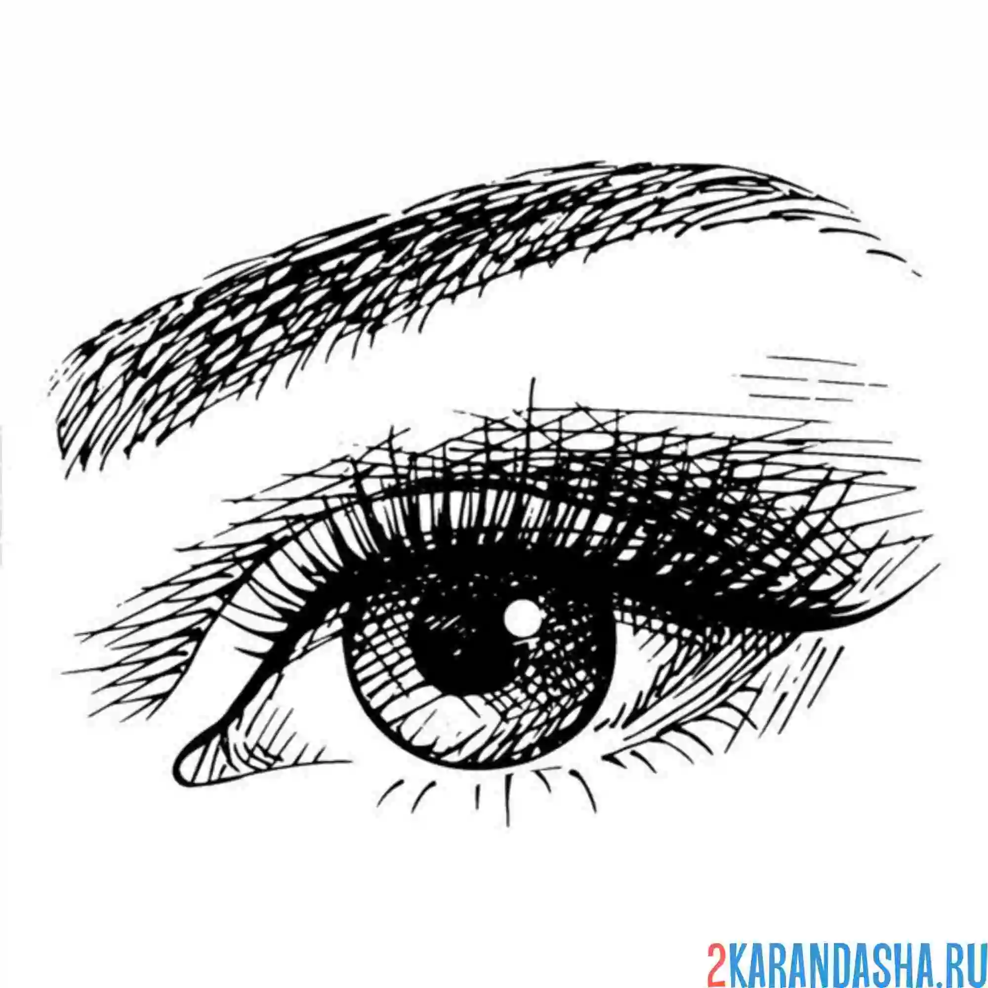Раскраска глаз штрихи