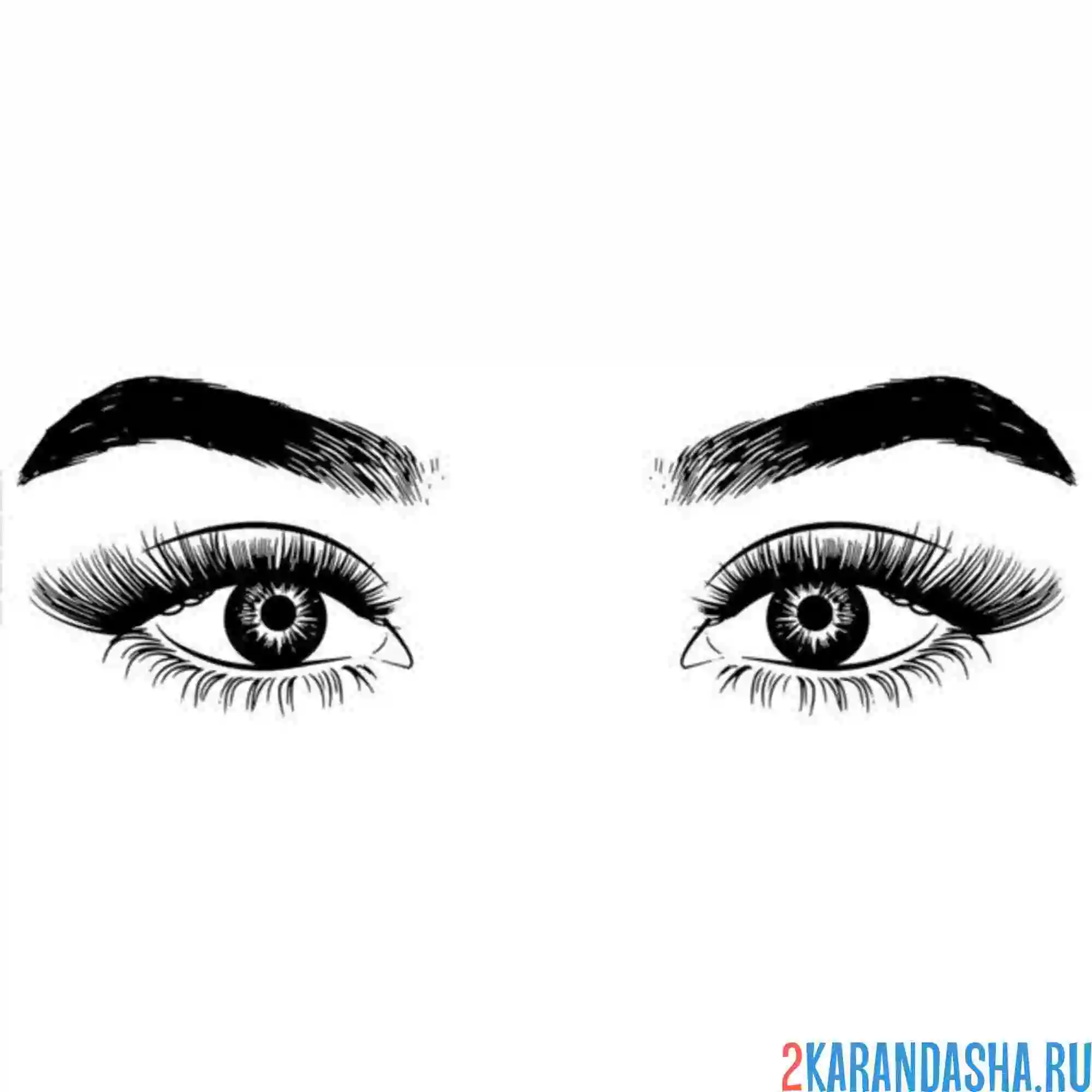 Раскраска широкие брови глаза