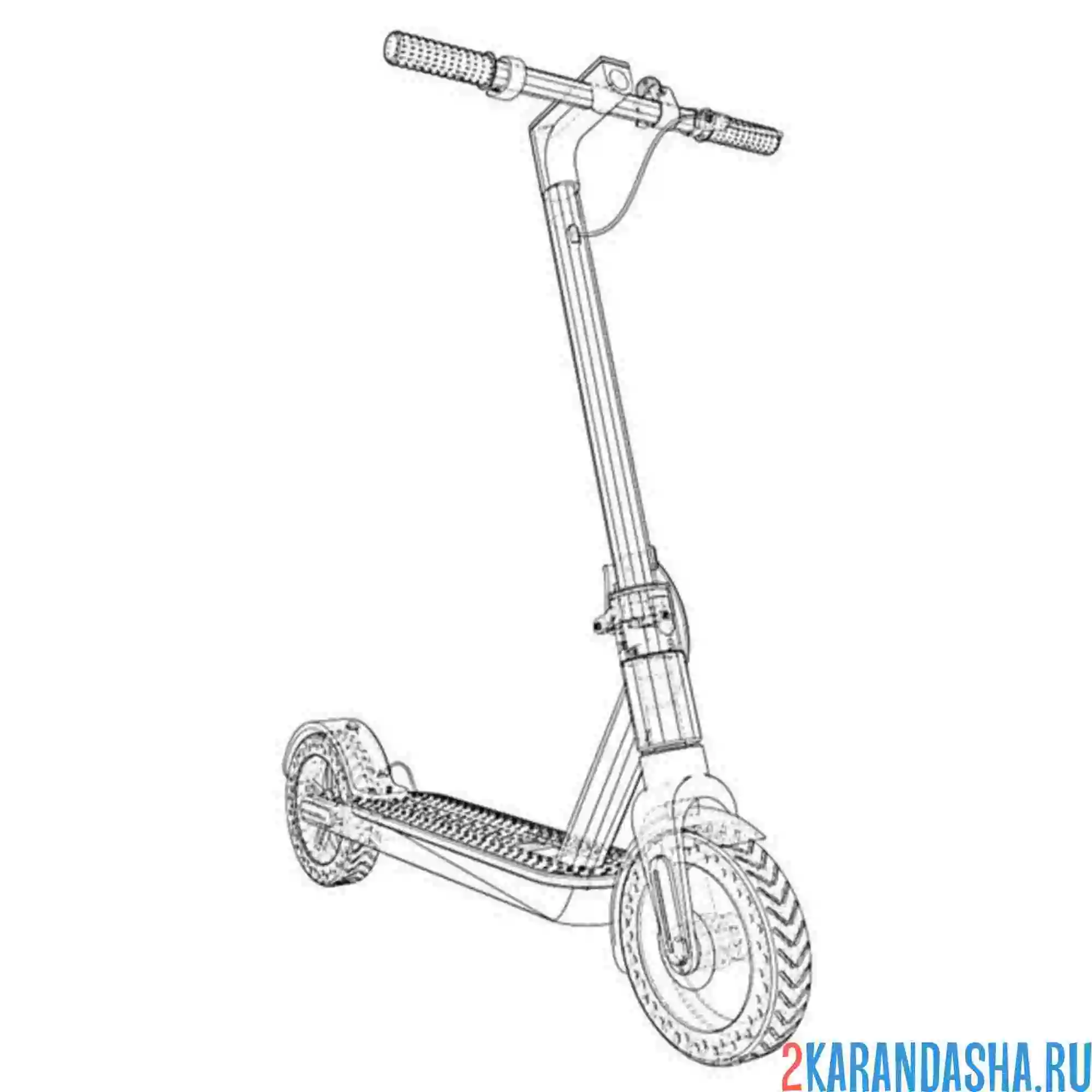 Раскраска взрослый самокат