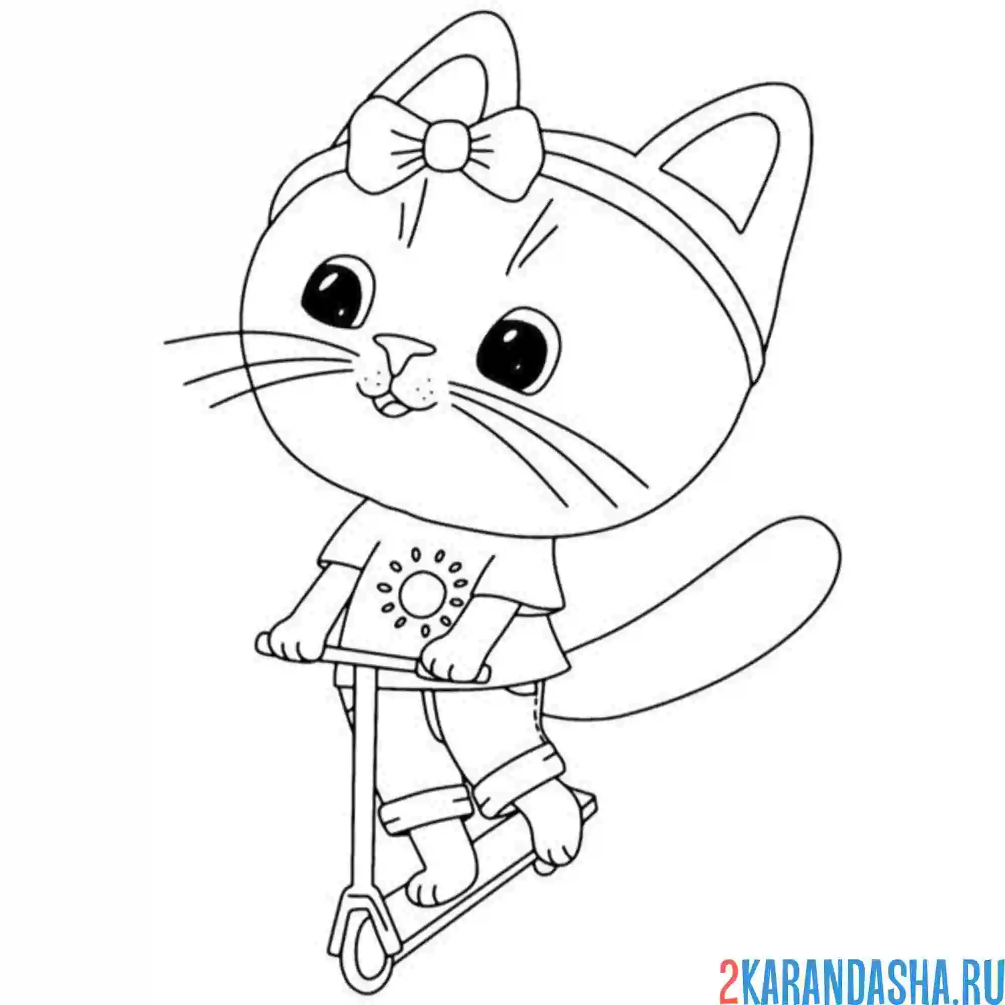 Раскраска котик на самокате