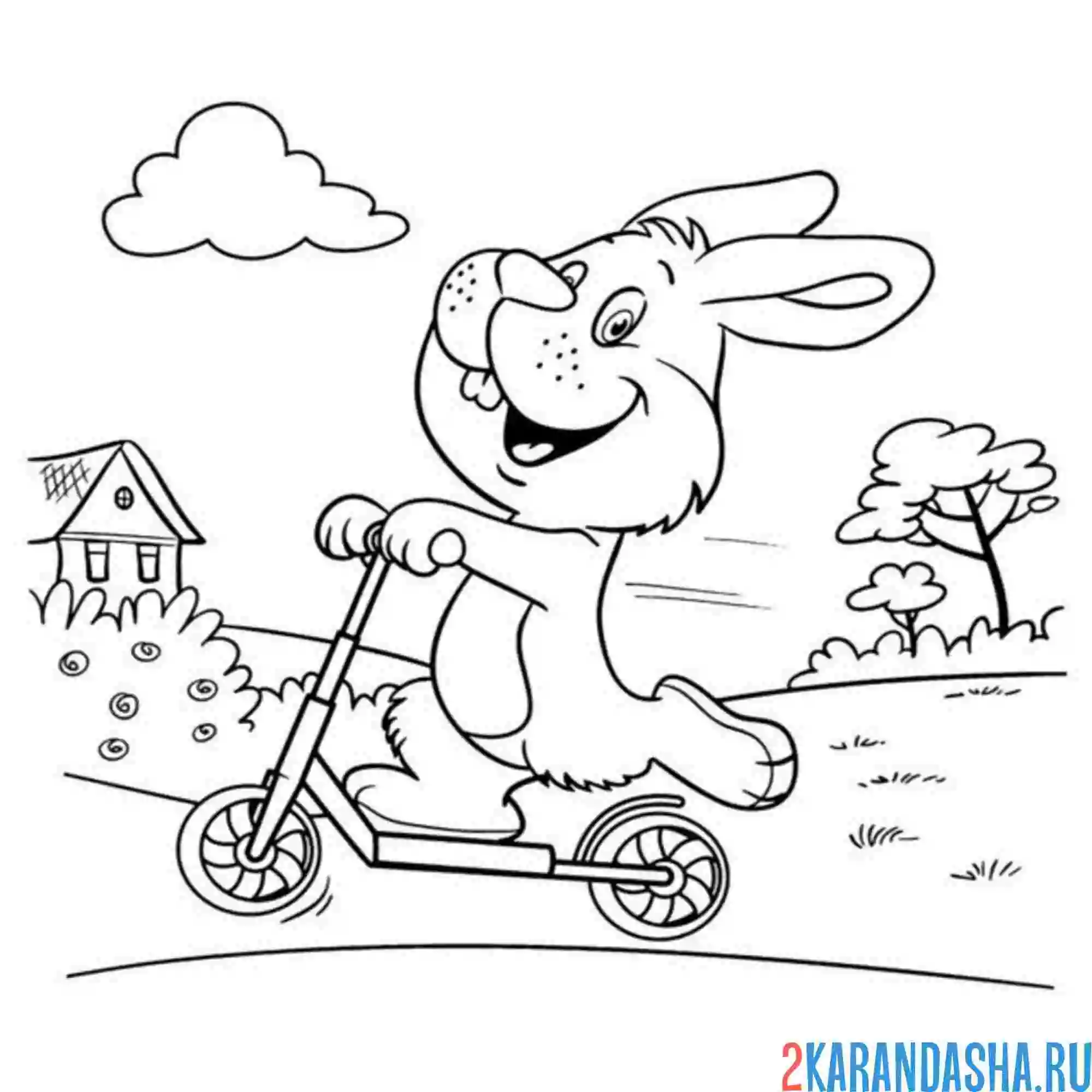 Раскраска зайка и самокат