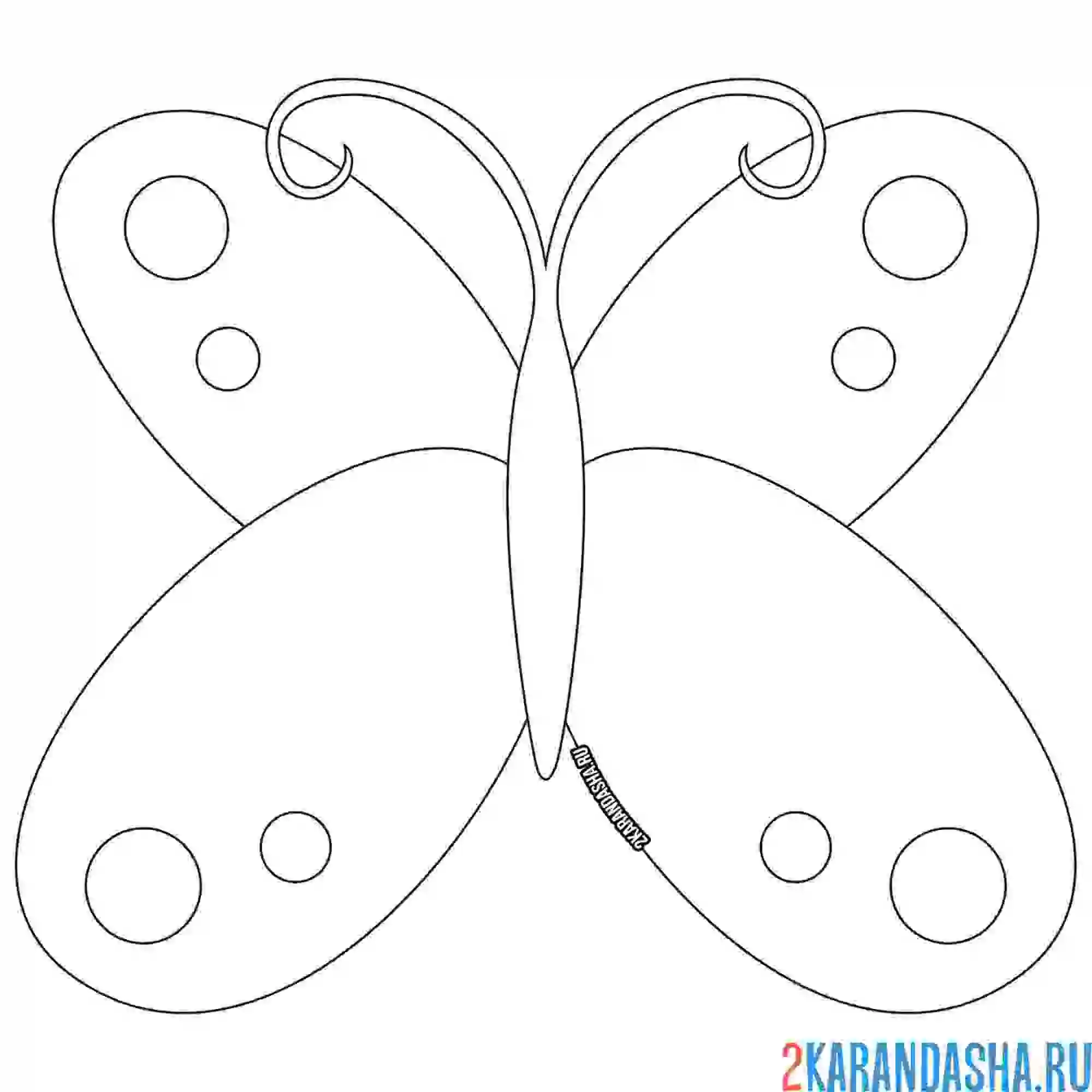 Раскраска бабочка с кружочками на крыльях