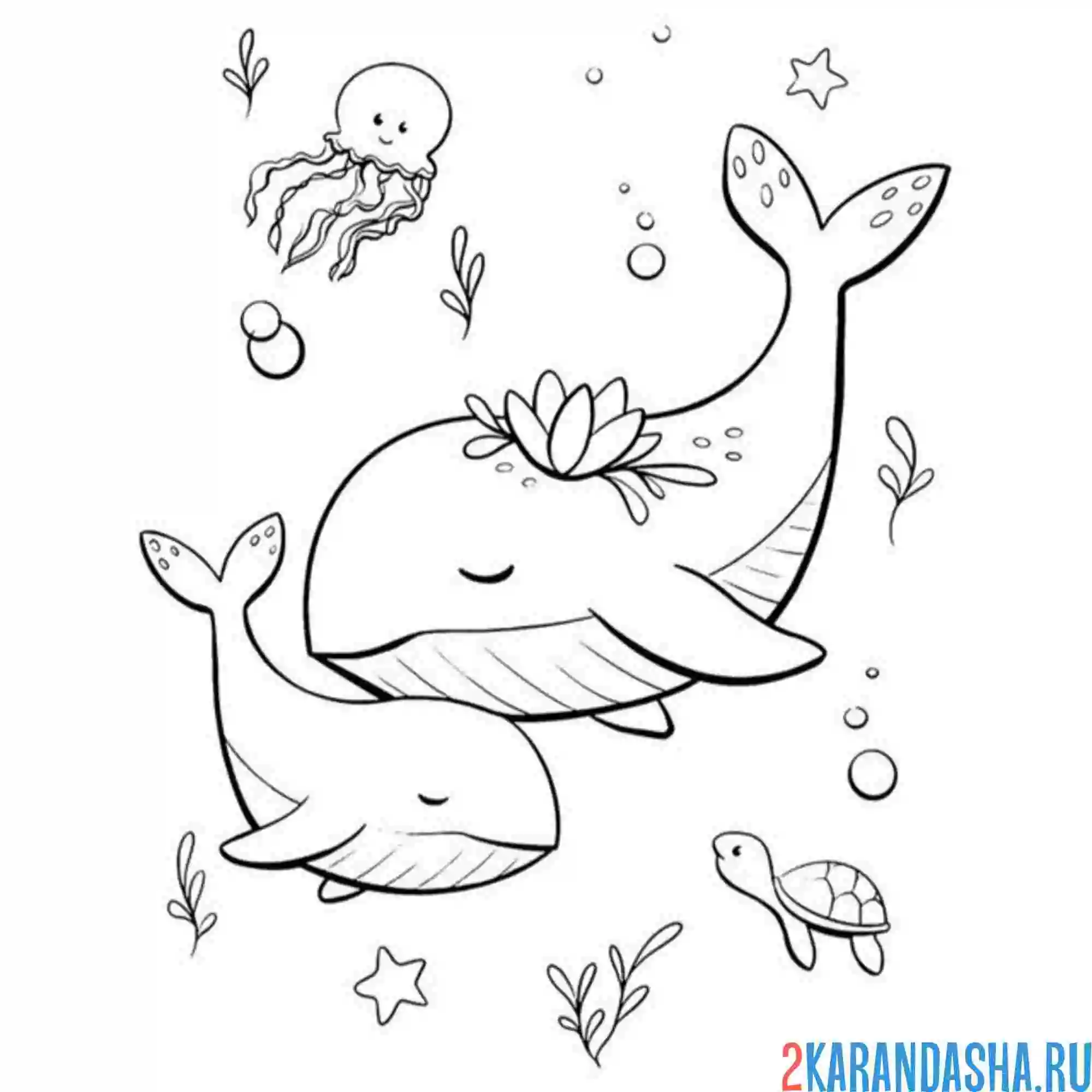 Раскраска мама кит и малыш эстетика