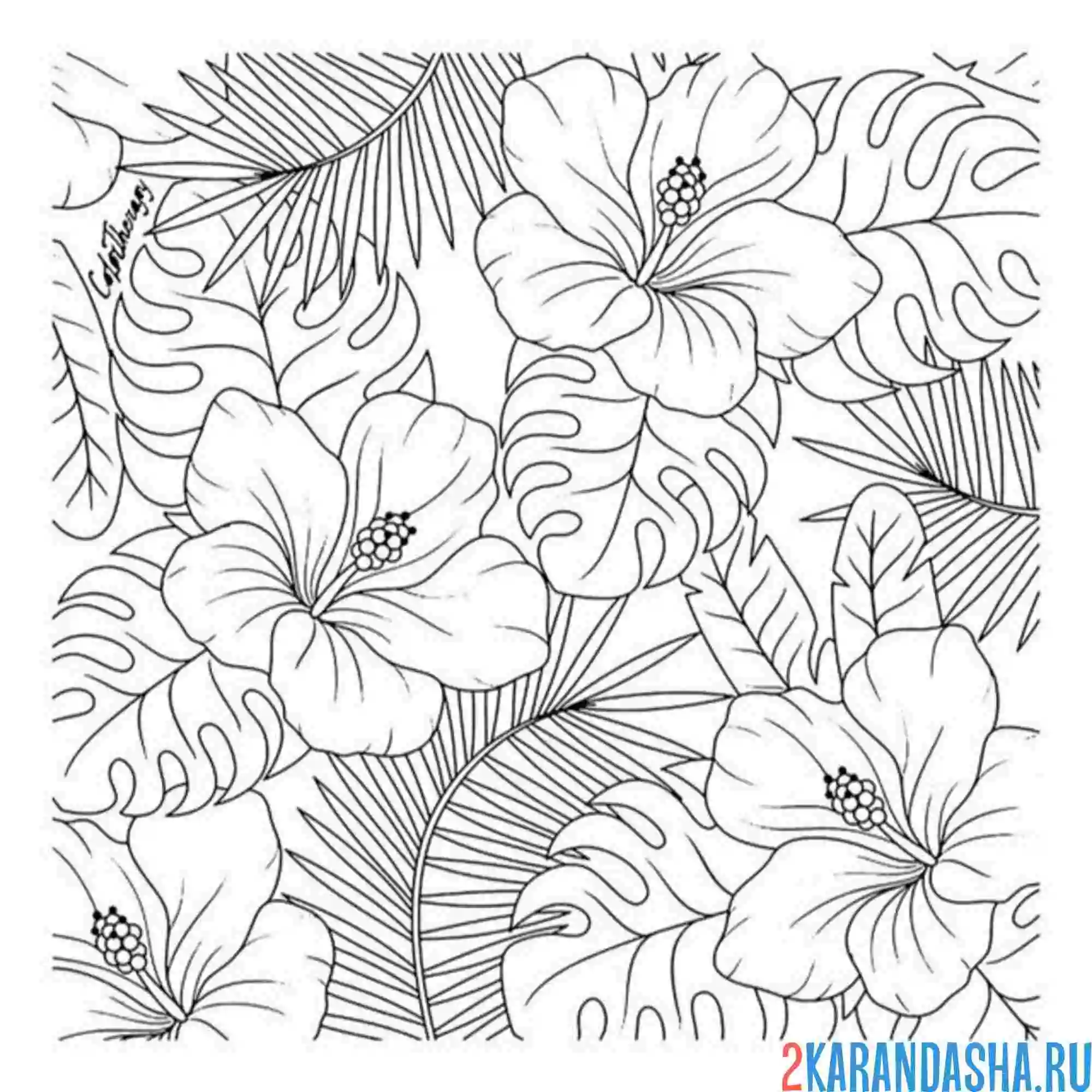 Раскраска эстетика бэкграунд цветы