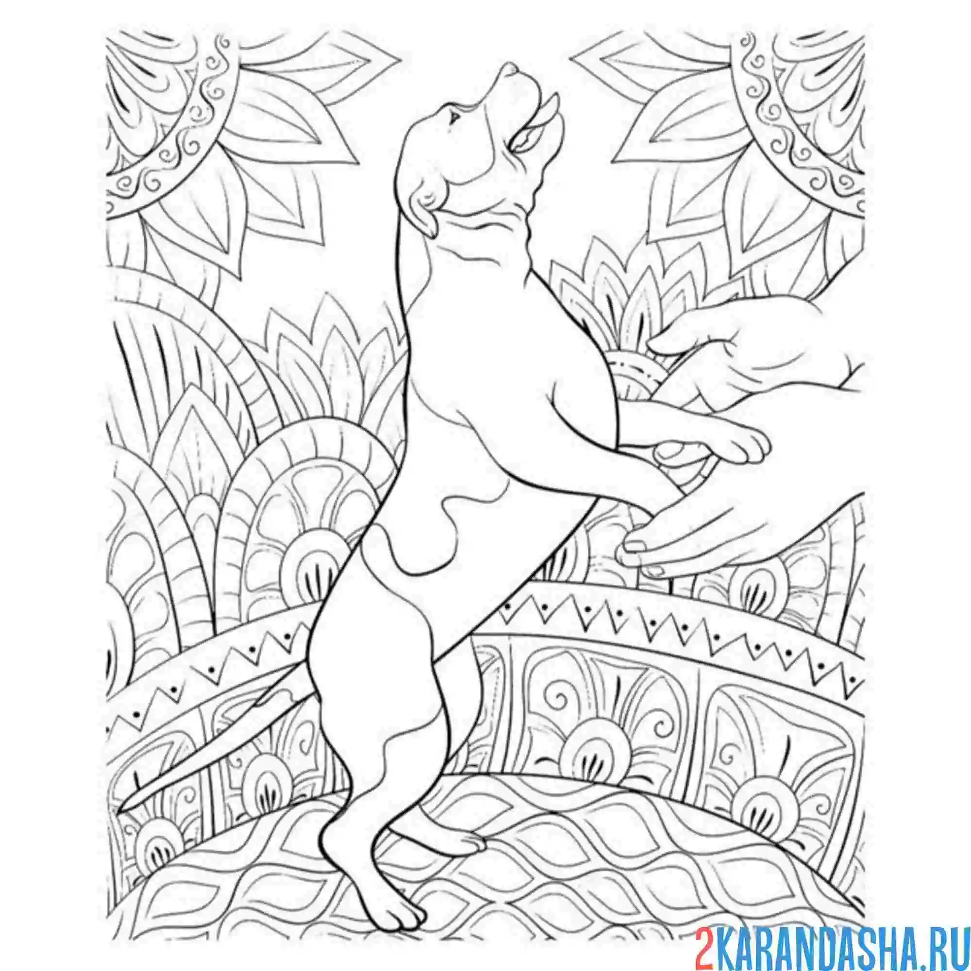 Раскраска эстетика собака