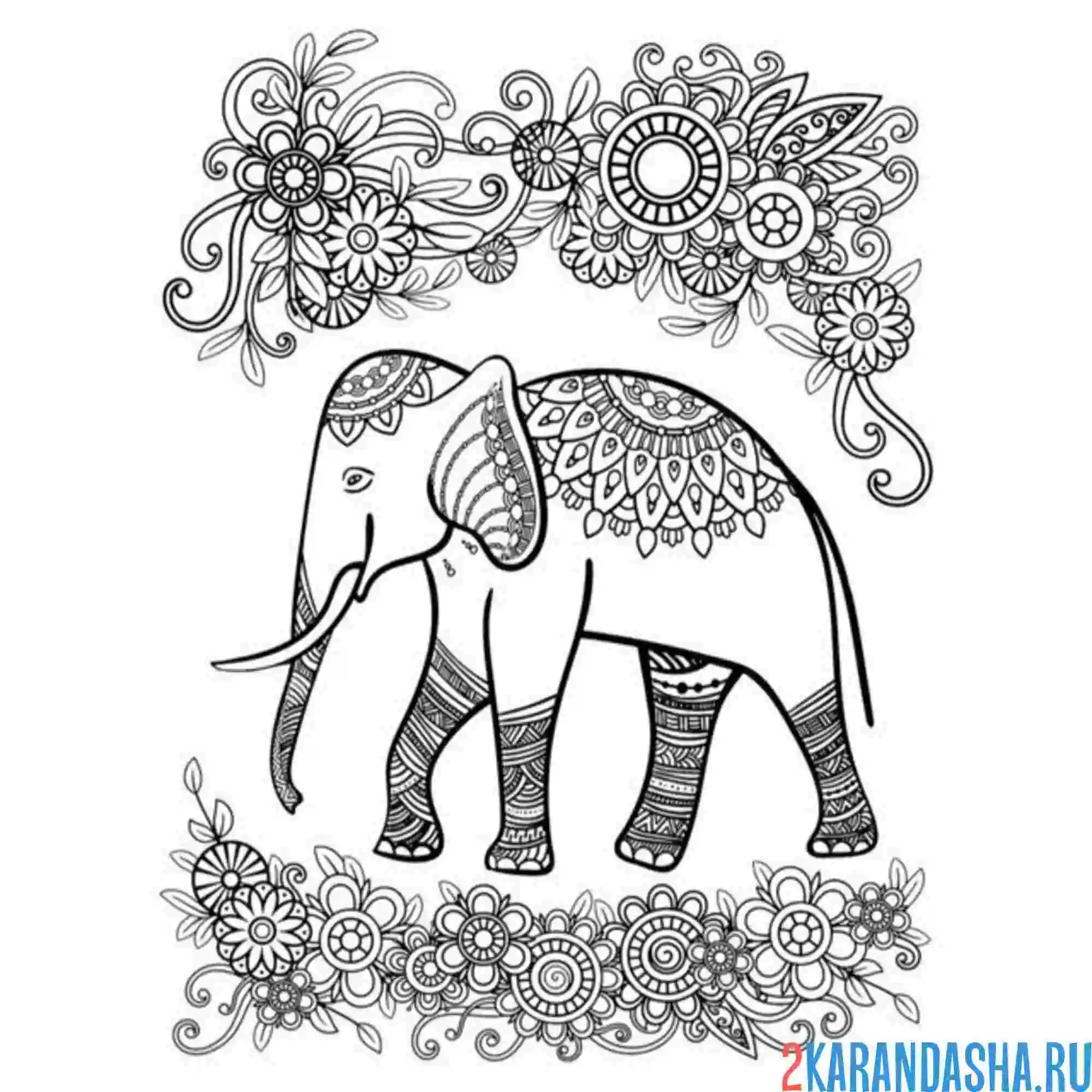 Раскраска эстетика индийский слон