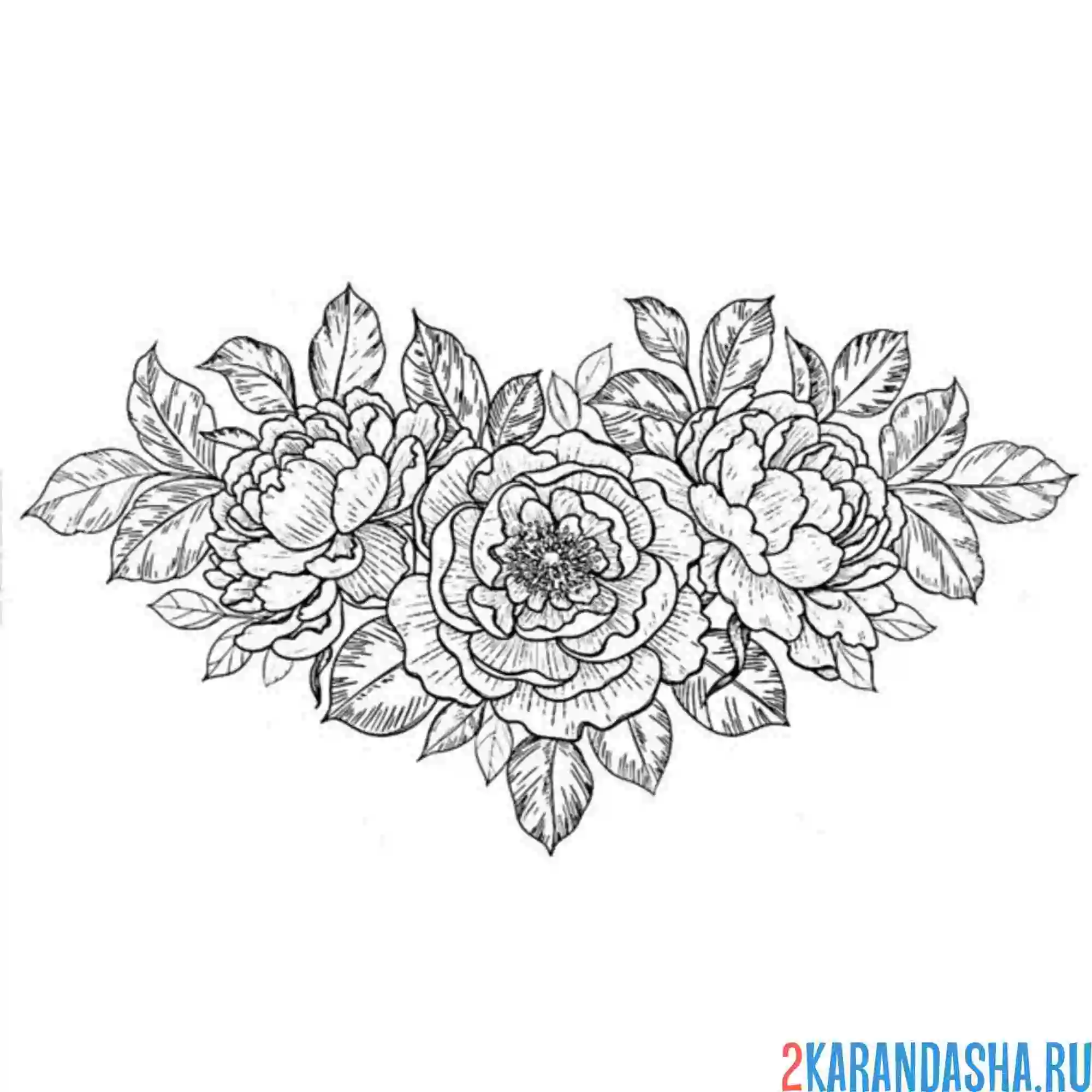 Раскраска эстетика цветы