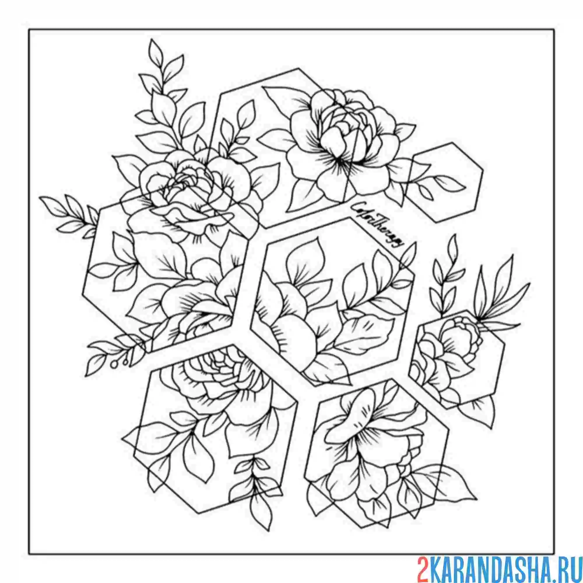 Раскраска эстетика соты и цветы