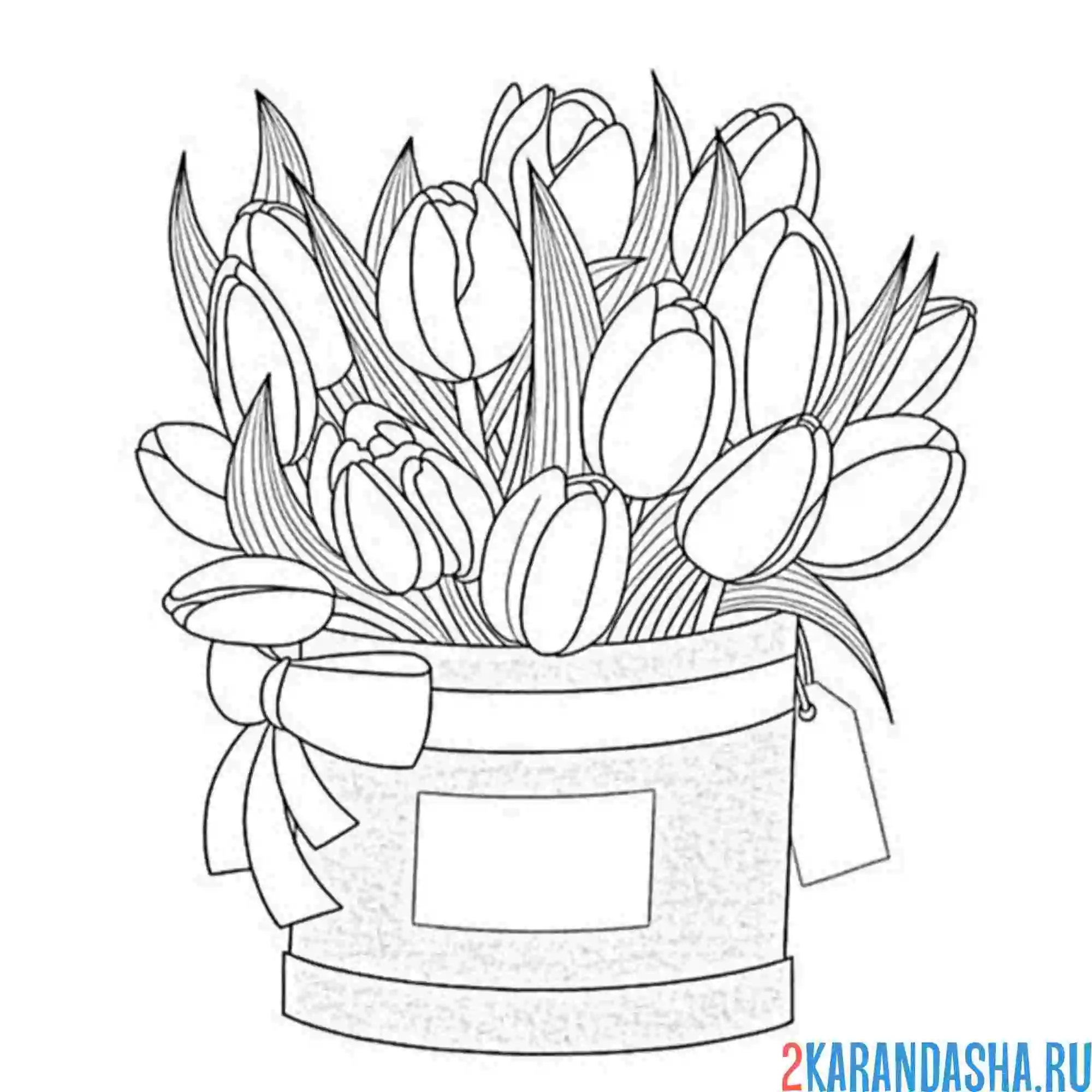 Раскраска эстетика тюльпаны