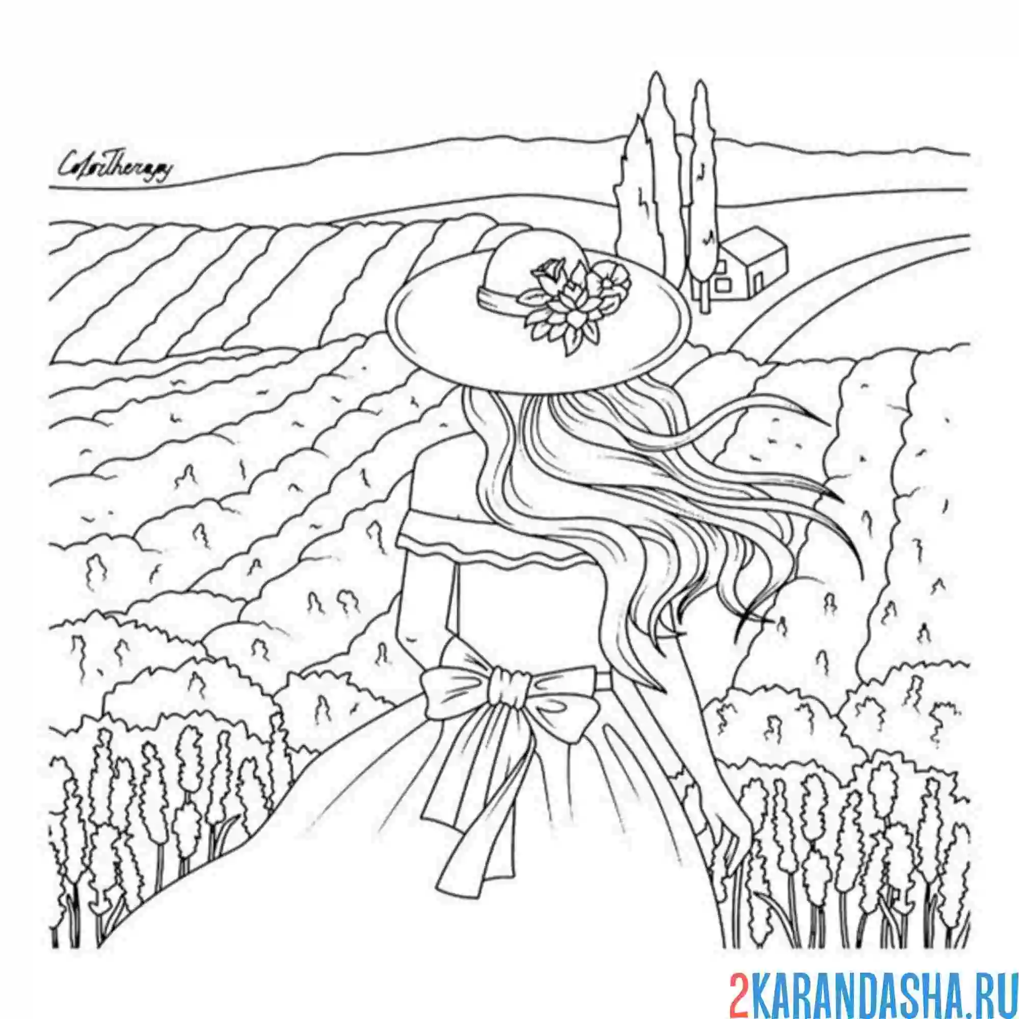 Раскраска эстетика лавандовое поле