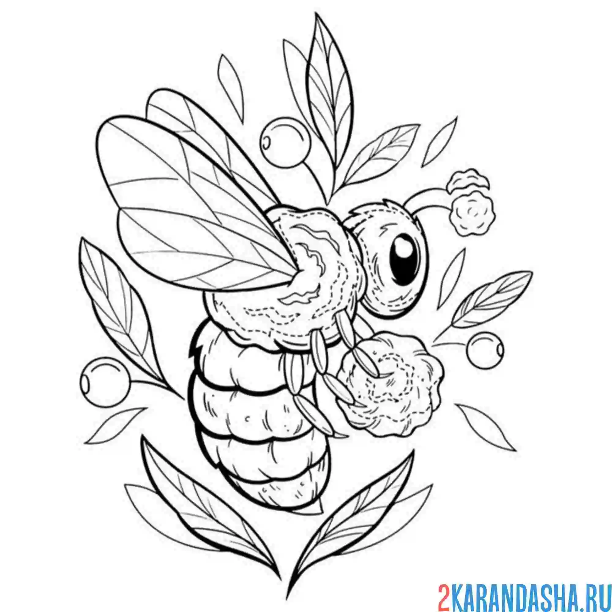 Раскраска пчелка эстетика