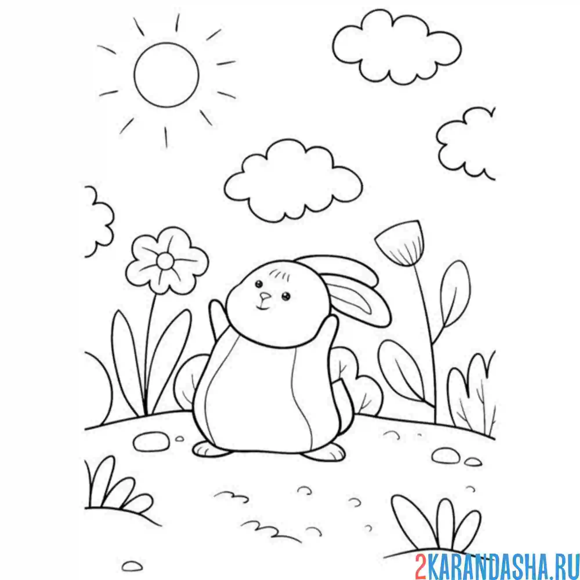 Раскраска зайчик и облачка