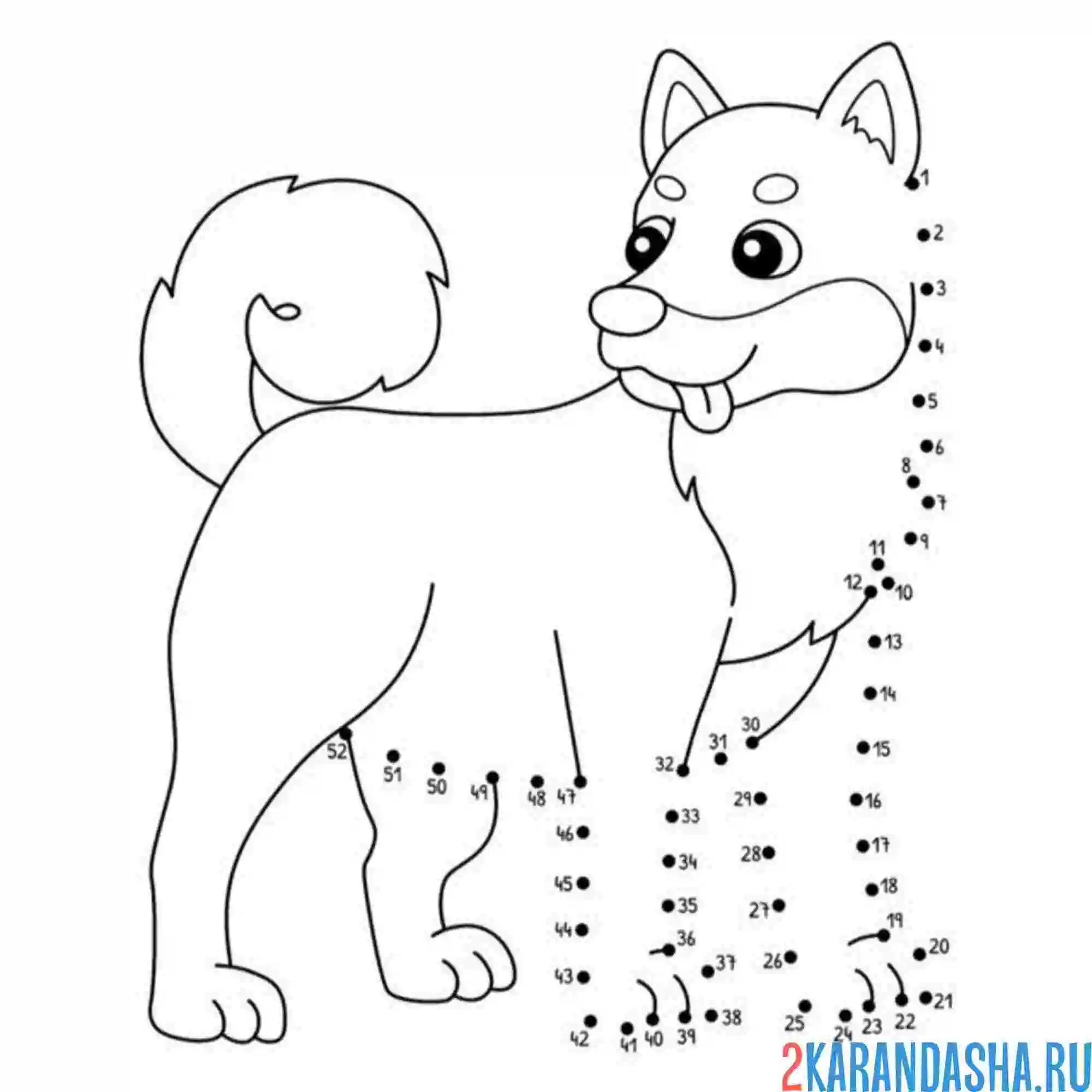 Раскраска обведи собачку