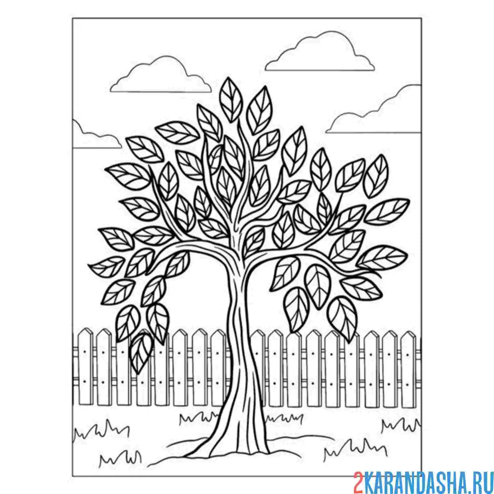 Раскраска простое дерево с листьями
