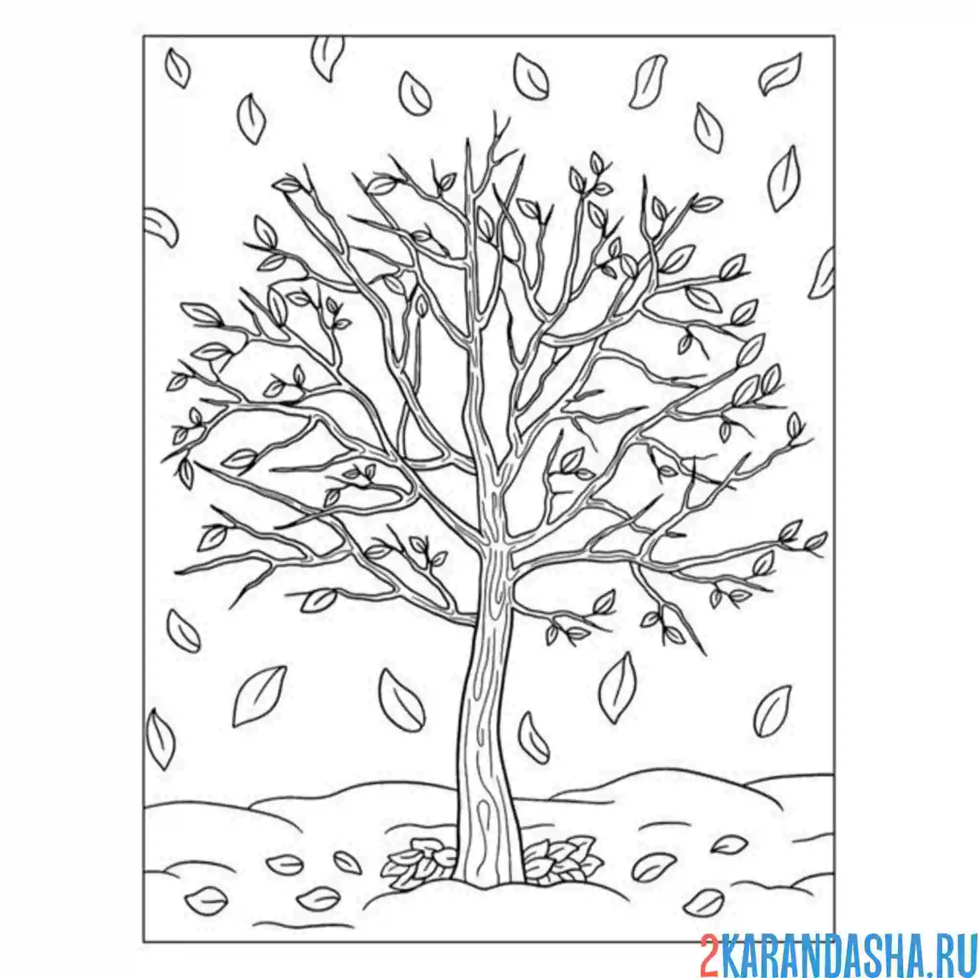 Раскраска осеннее дерево листопад