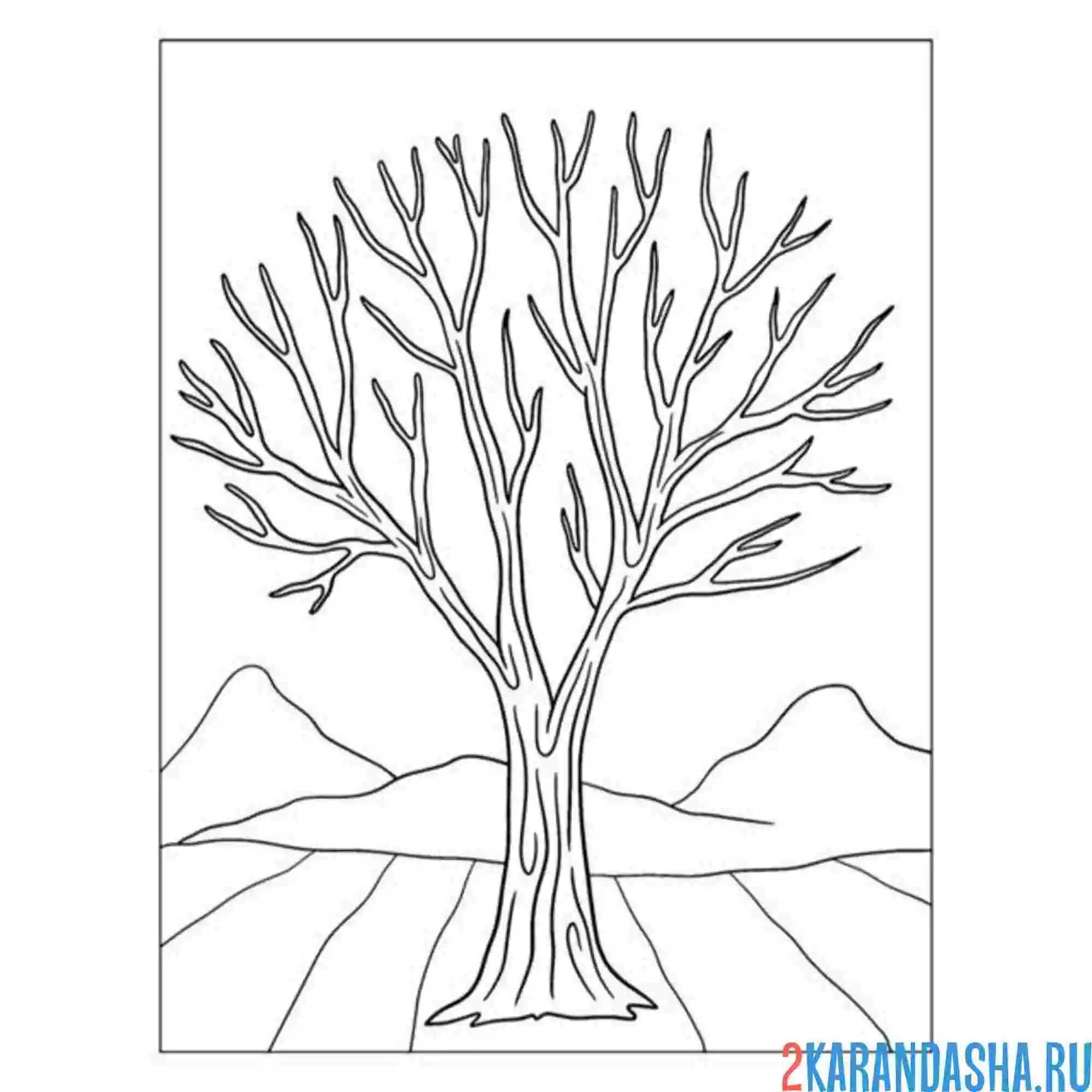 Раскраска голое дерево зимой