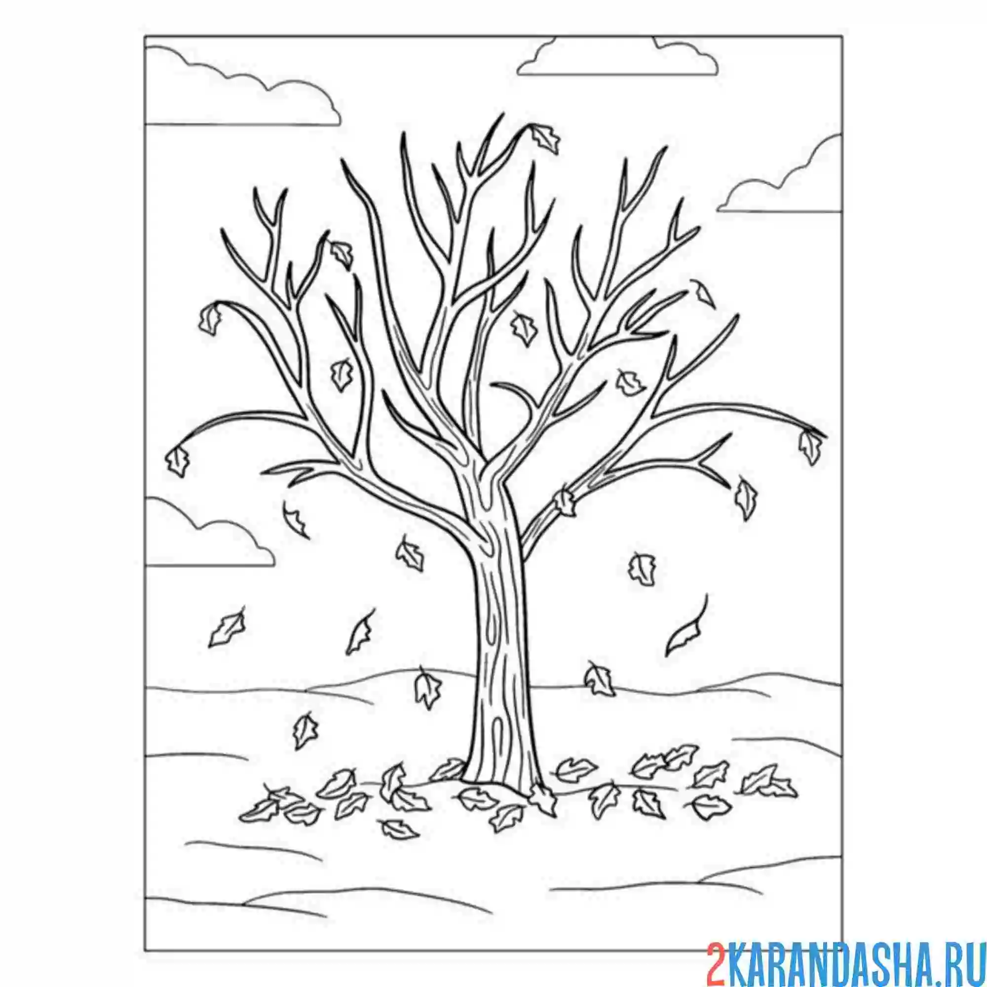 Раскраска опавшая листва с дерева