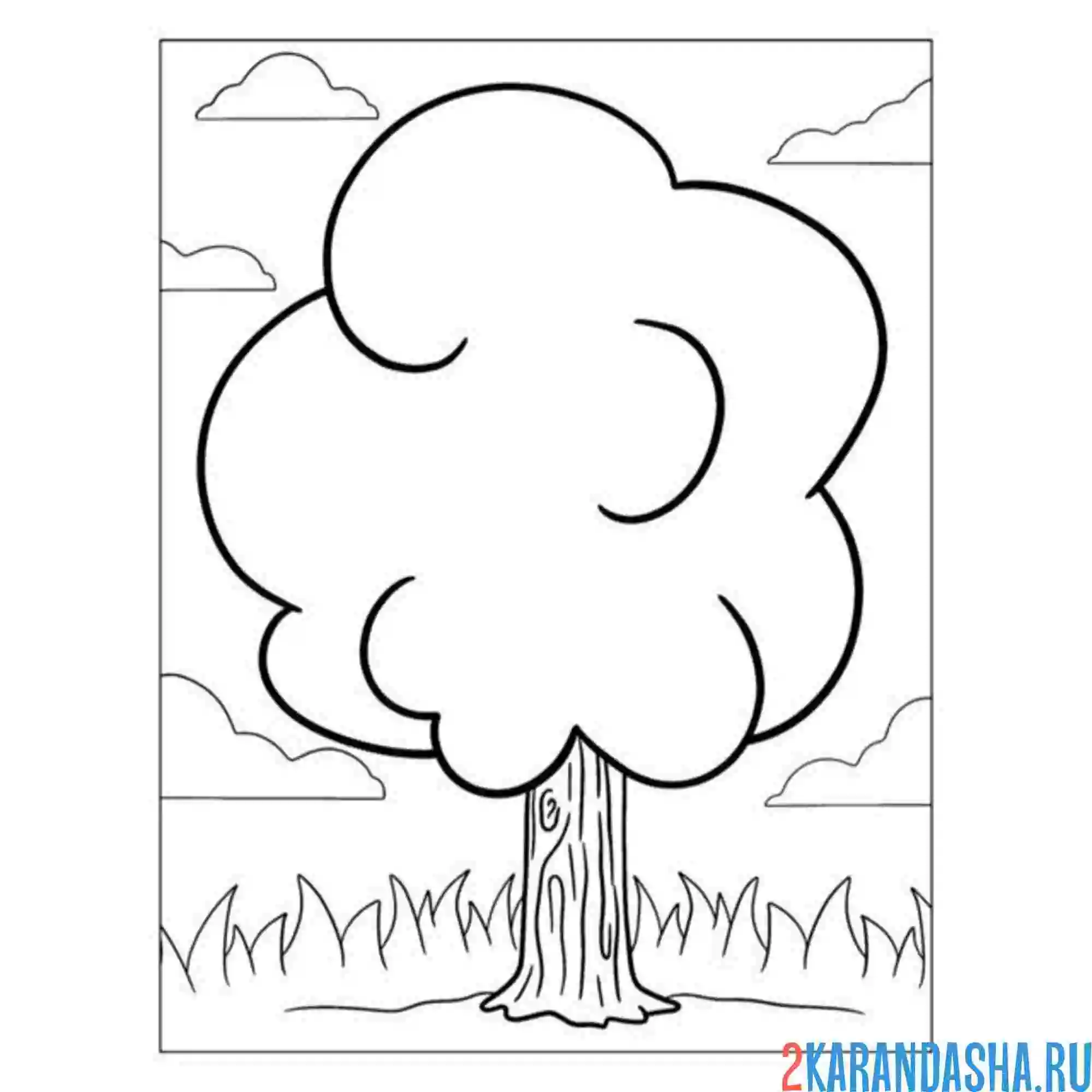 Раскраска осина дерево
