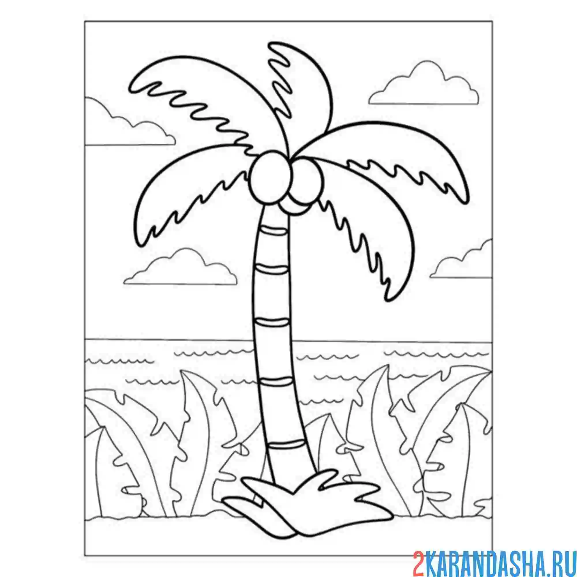 Раскраска пальма с кокосами дерево