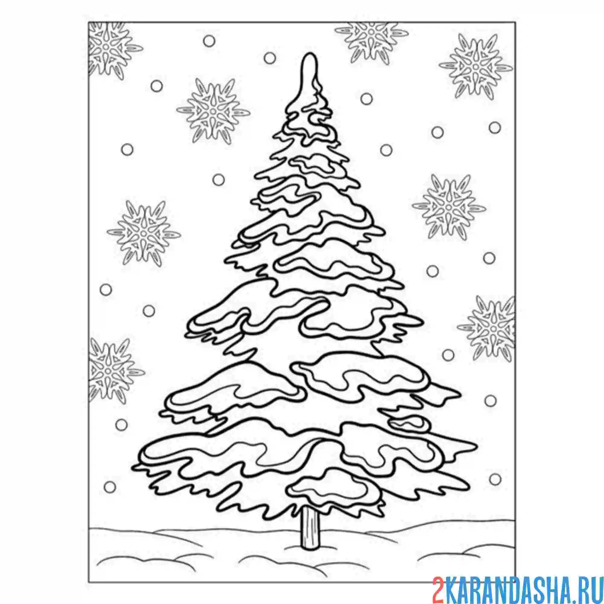 Раскраска елка сосна дерево зима