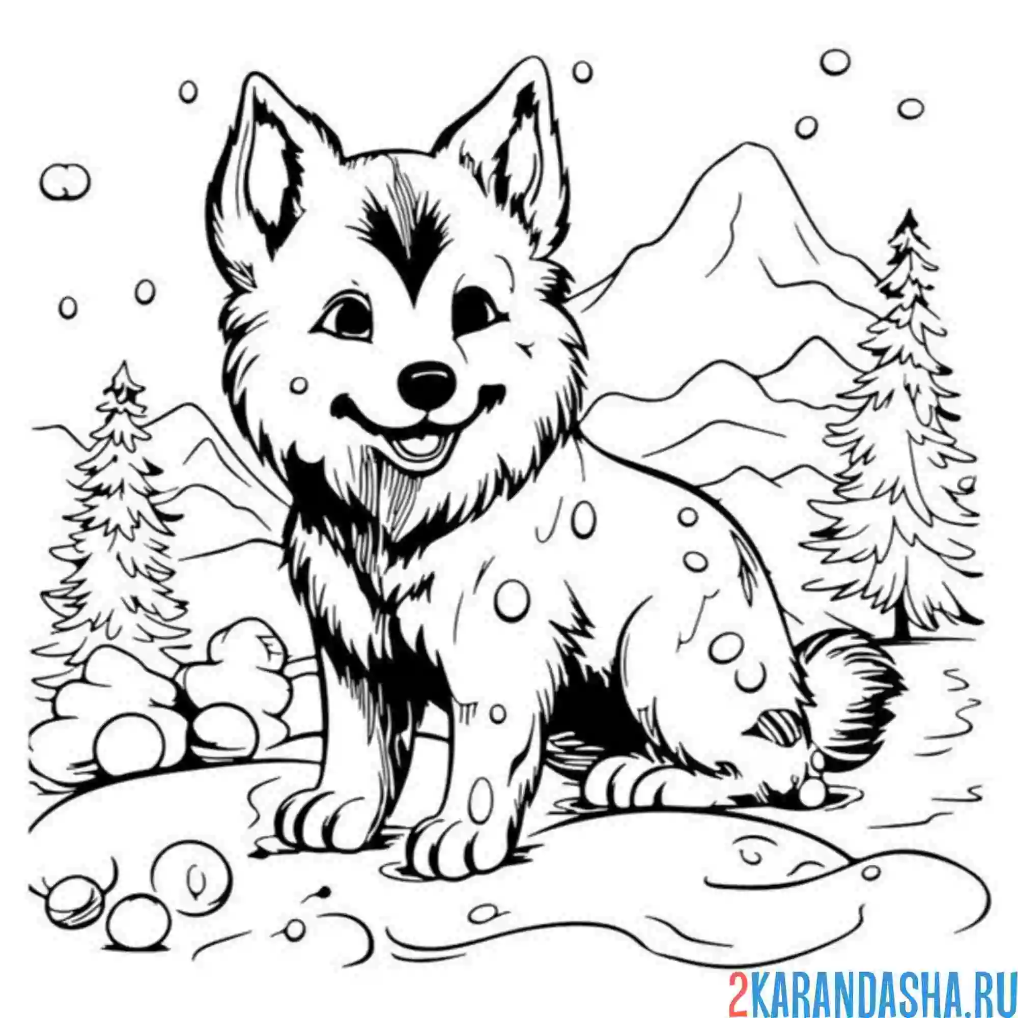 Раскраска хаски и елки