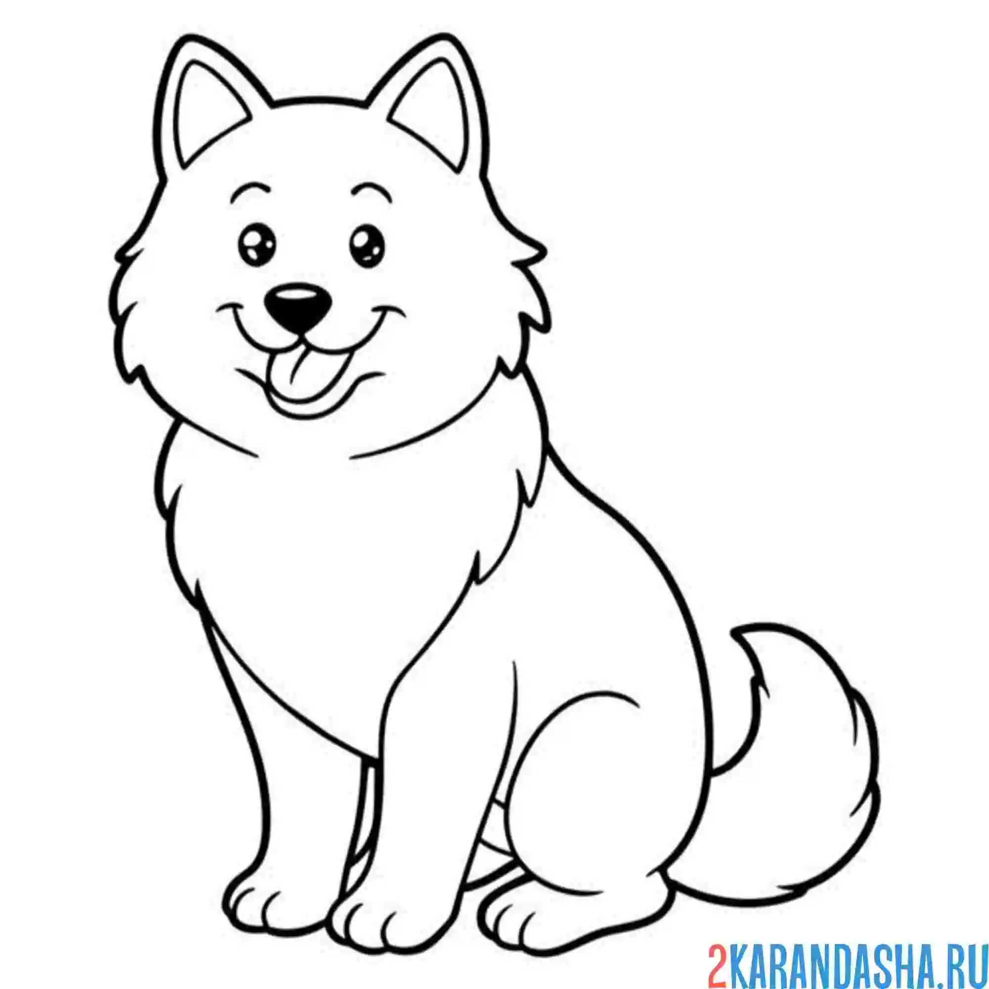 Раскраска подросток хаски