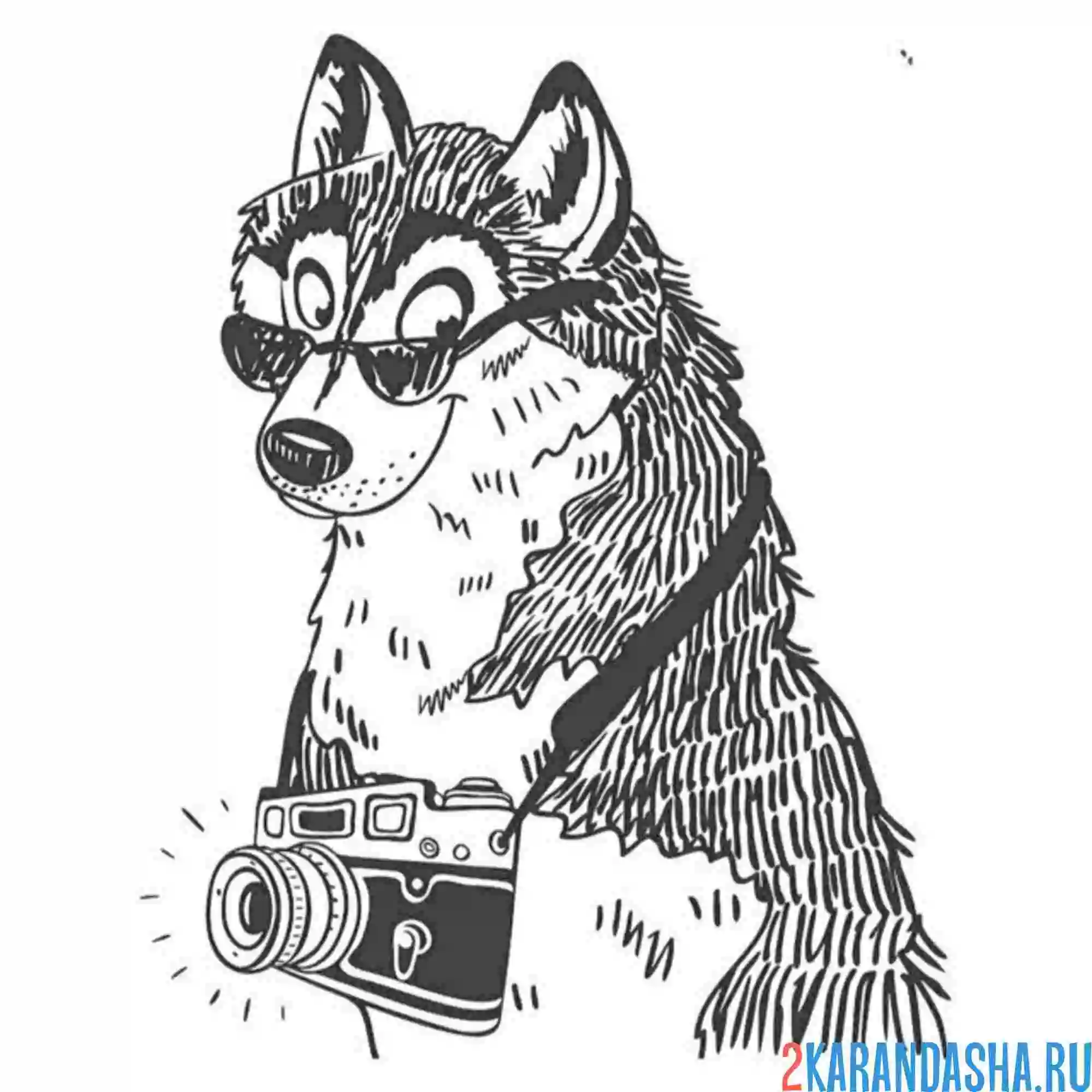 Раскраска хаски и фотик
