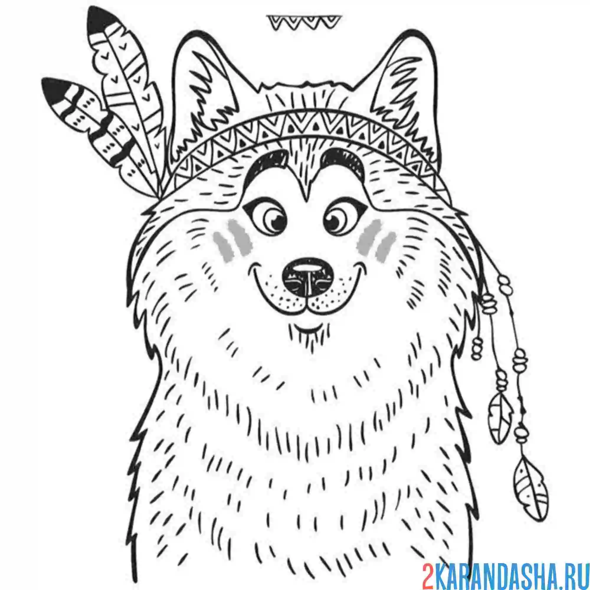 Раскраска хаски индеец