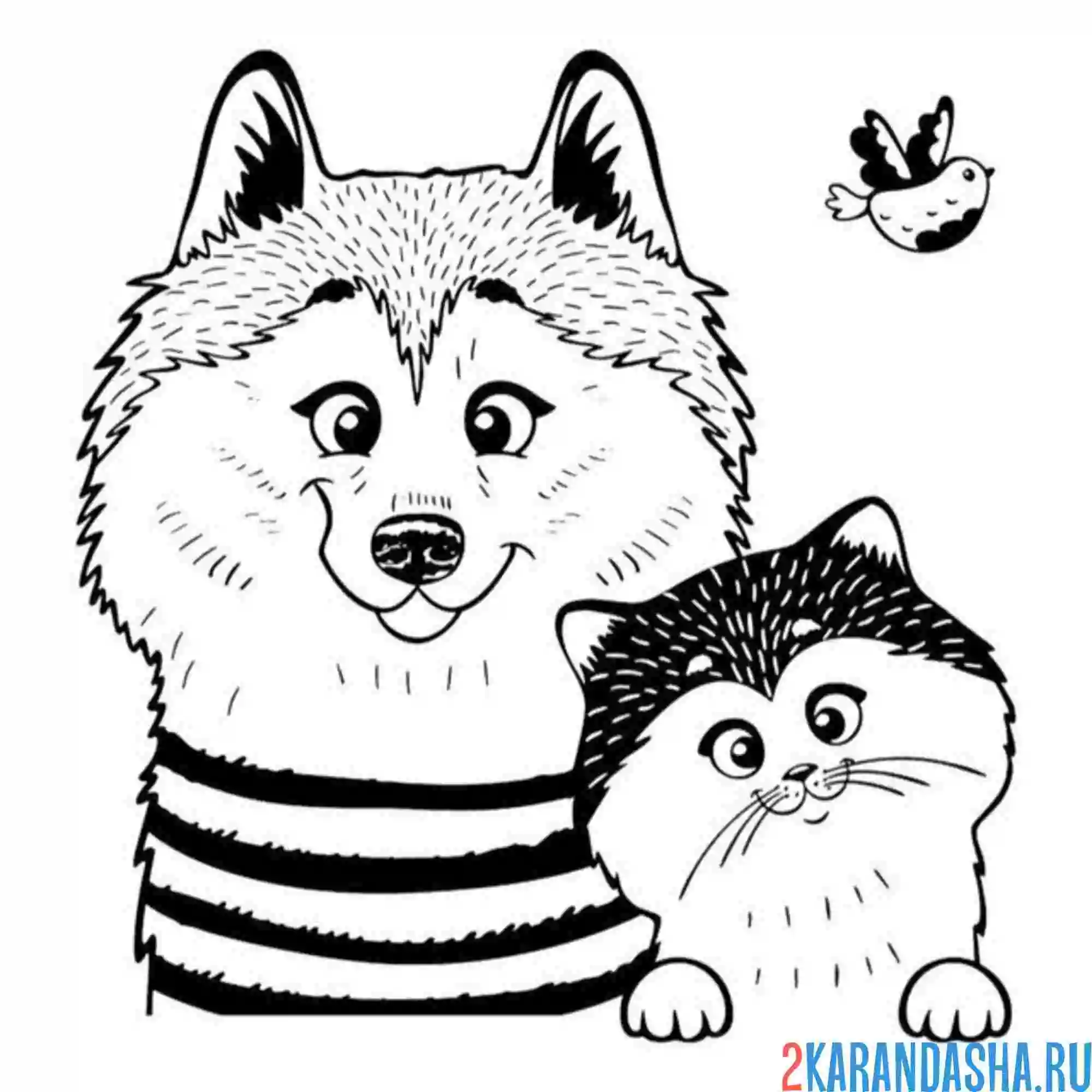 Раскраска хаски и щенок хаски