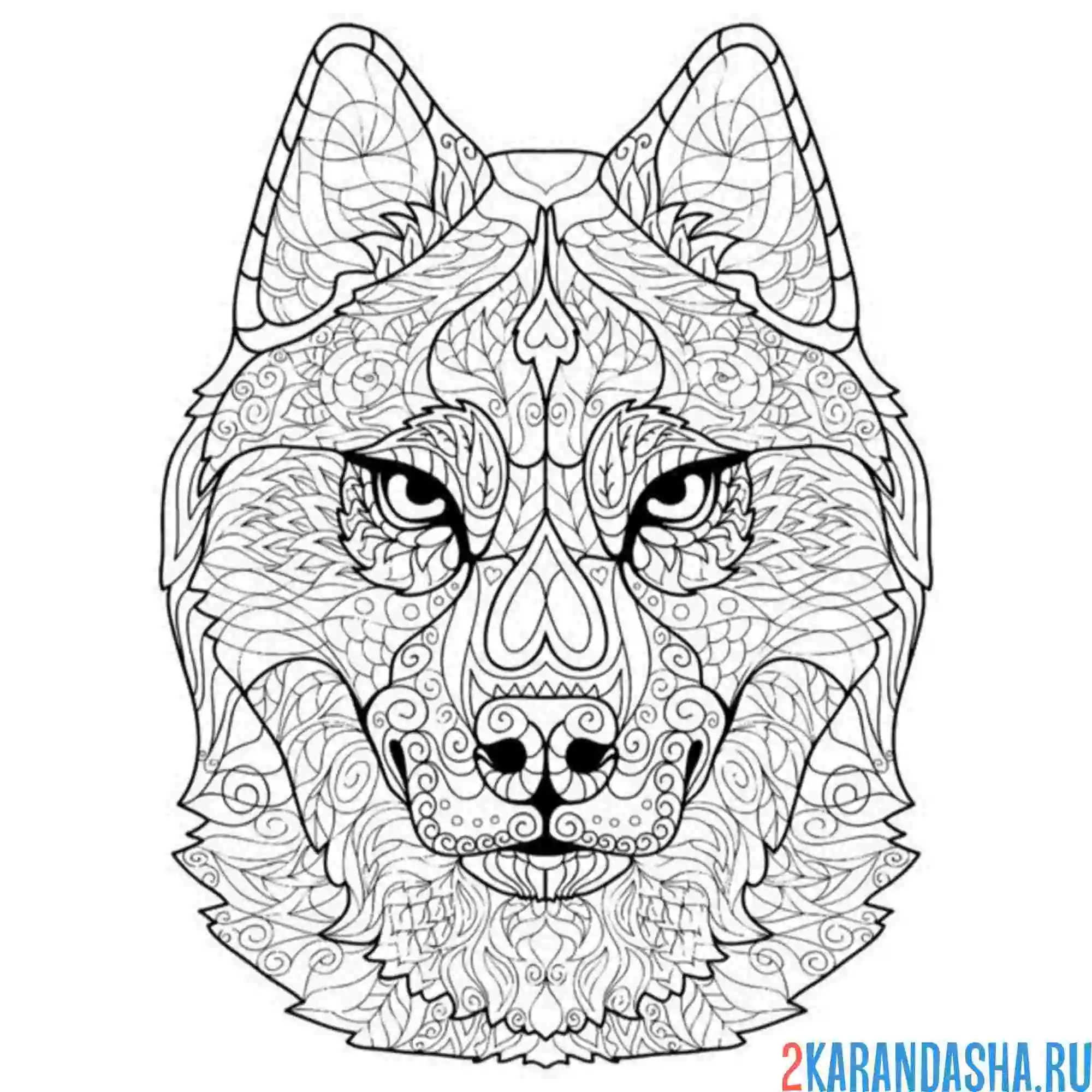 Раскраска антистресс хаски голова