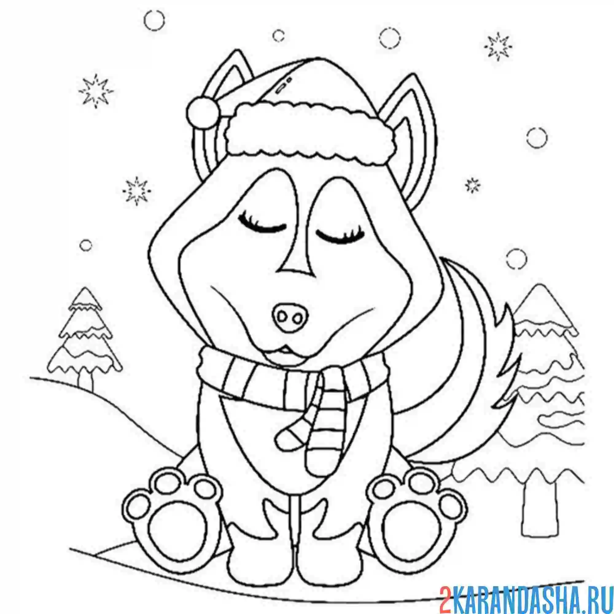 Раскраска хаски и снег