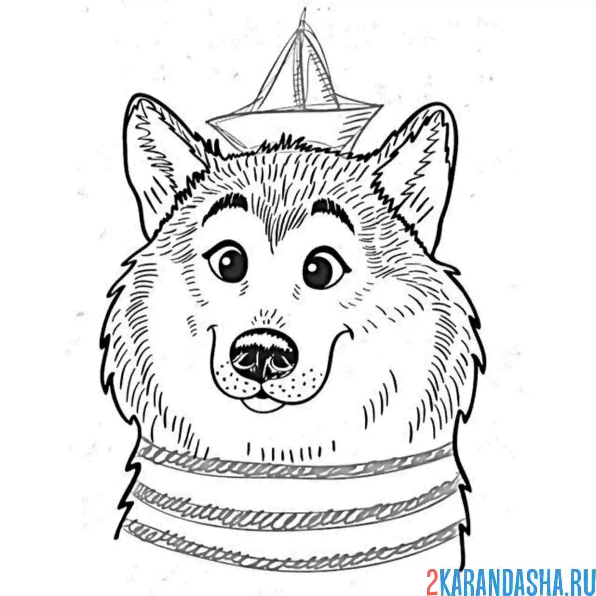 Раскраска хаски моряк