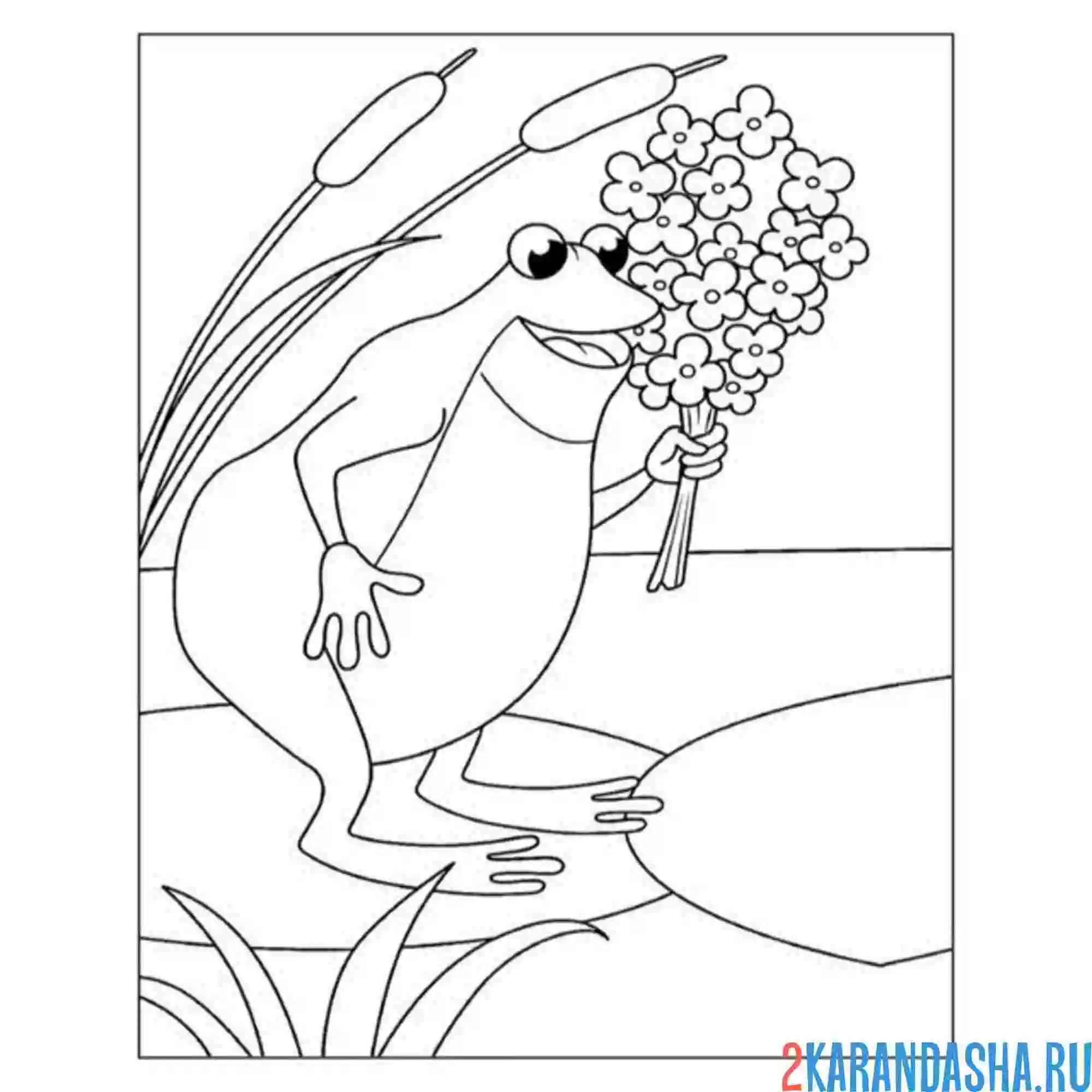 Раскраска жаба и цветы