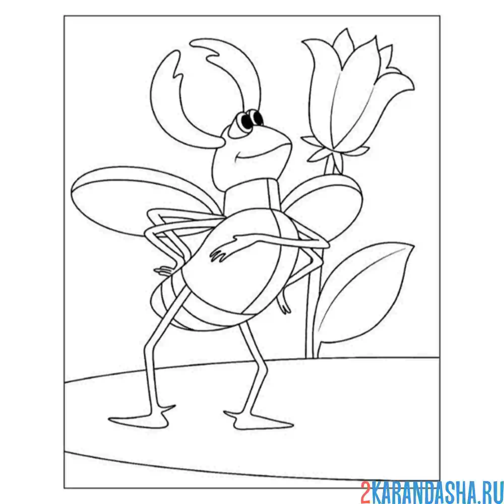 Раскраска жук жених дюймовочки