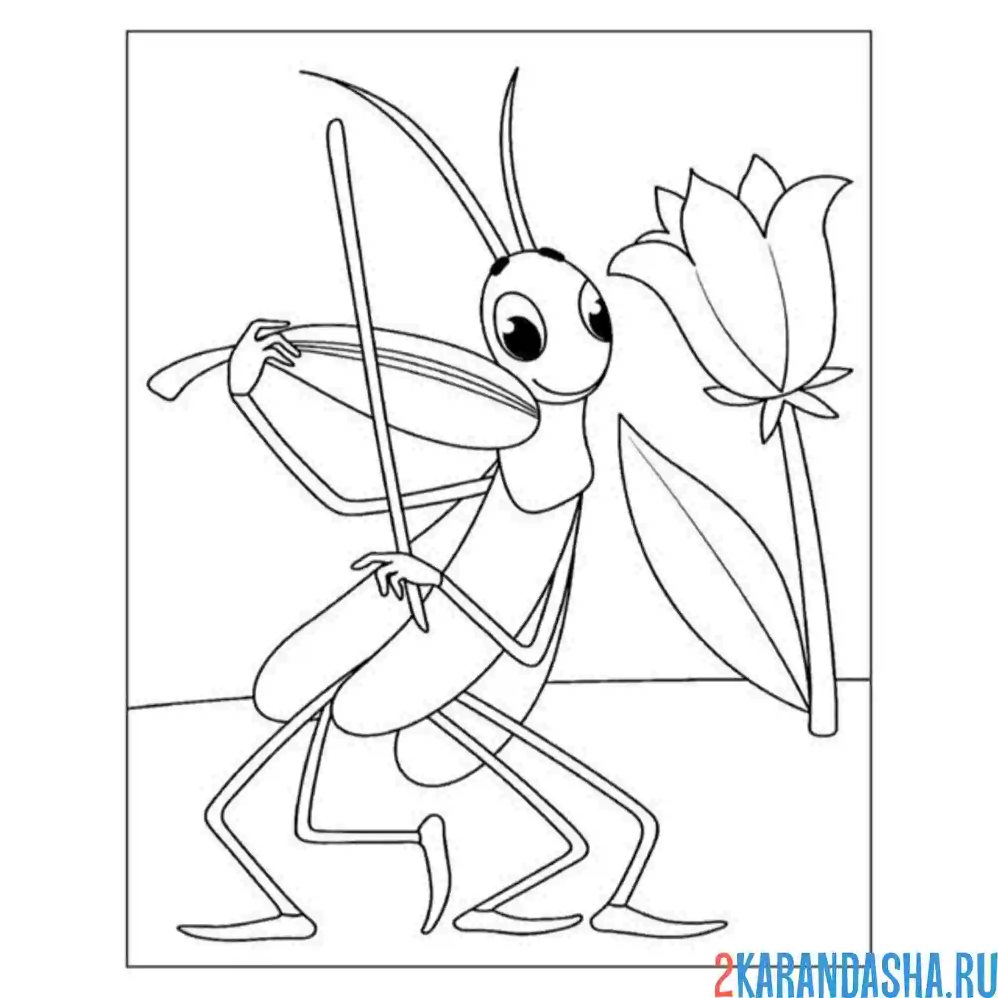 Раскраска кузнечик из сказки