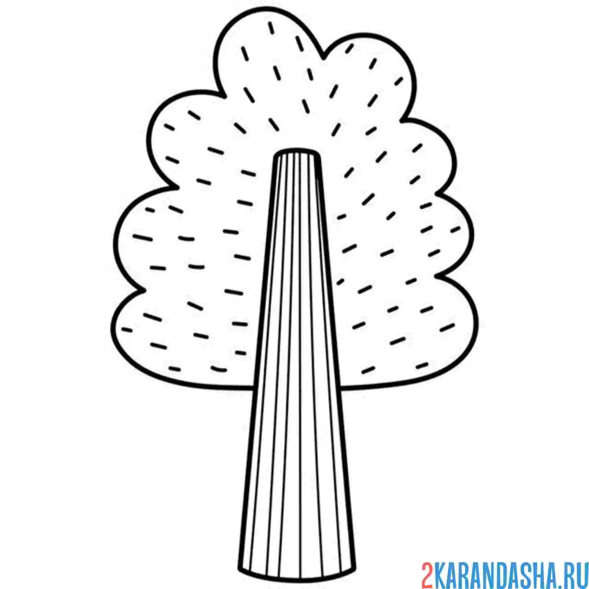 Раскраска березка