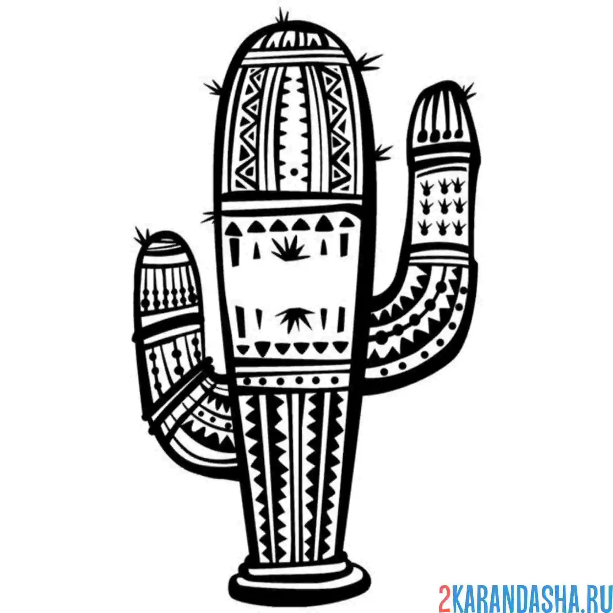 Раскраска мексиканский кактус