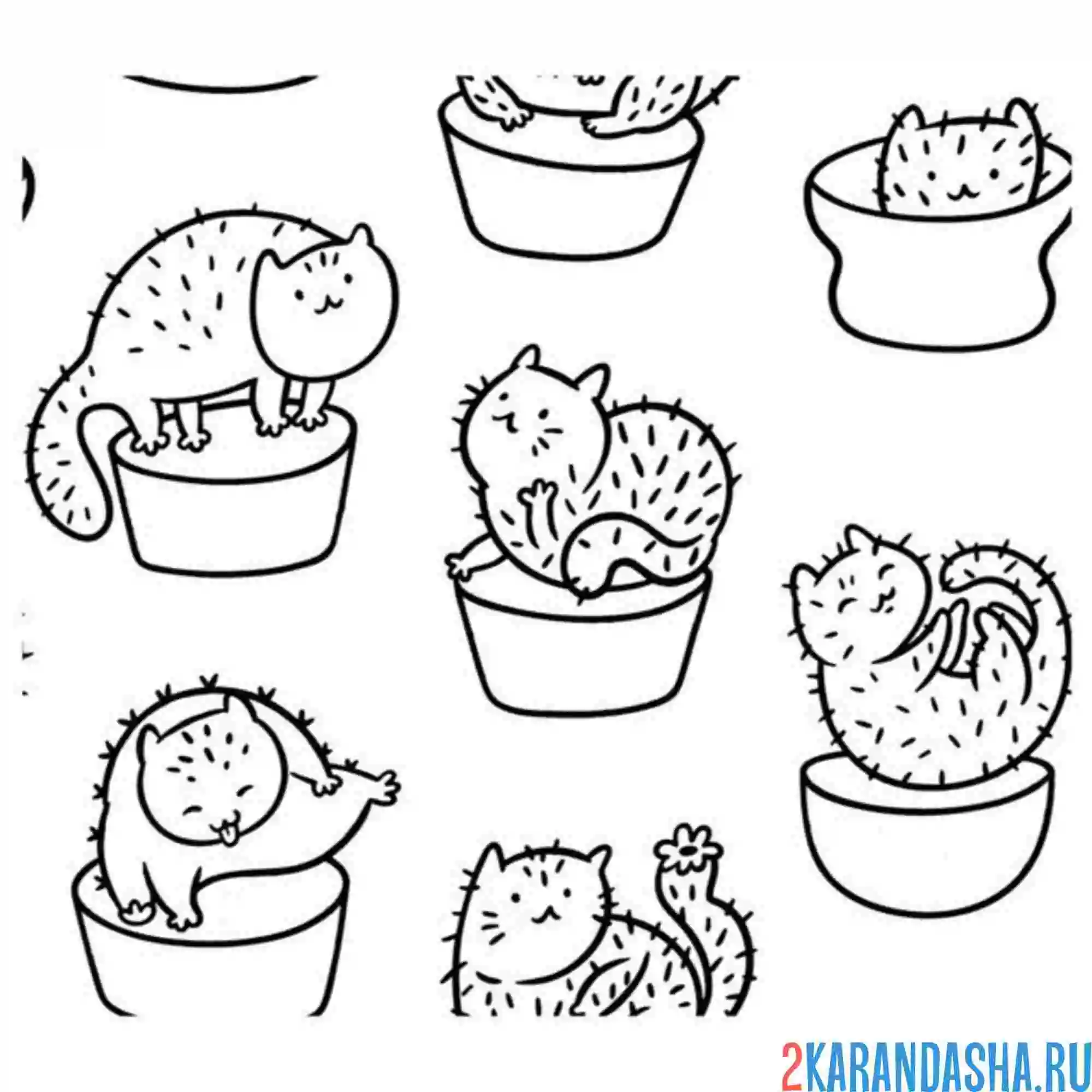 Раскраска кото-кактусы