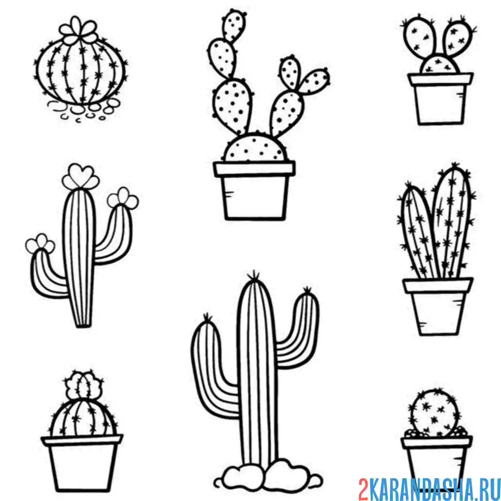 Раскраска кактусы на выбор