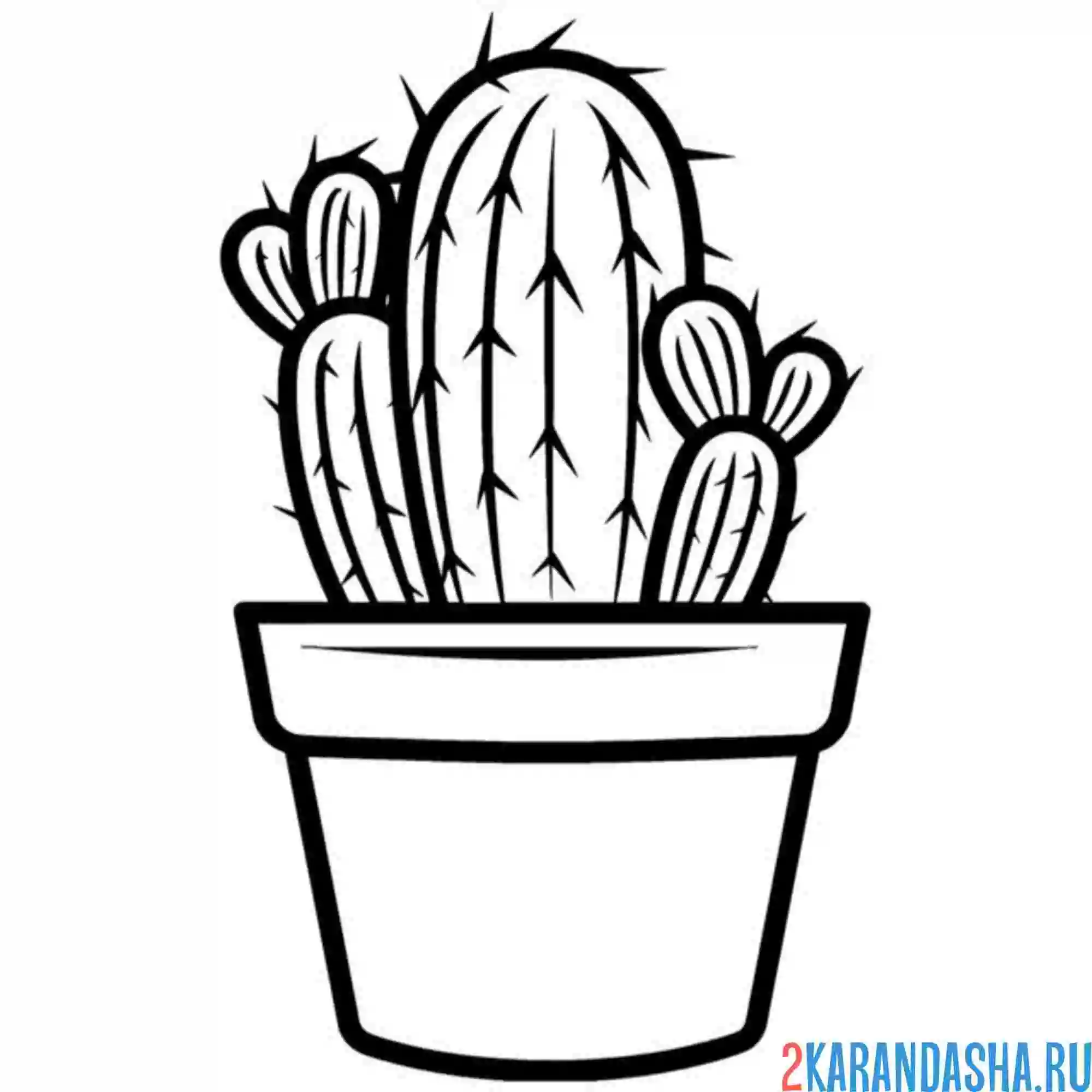 Раскраска небольшой кактус в горшке