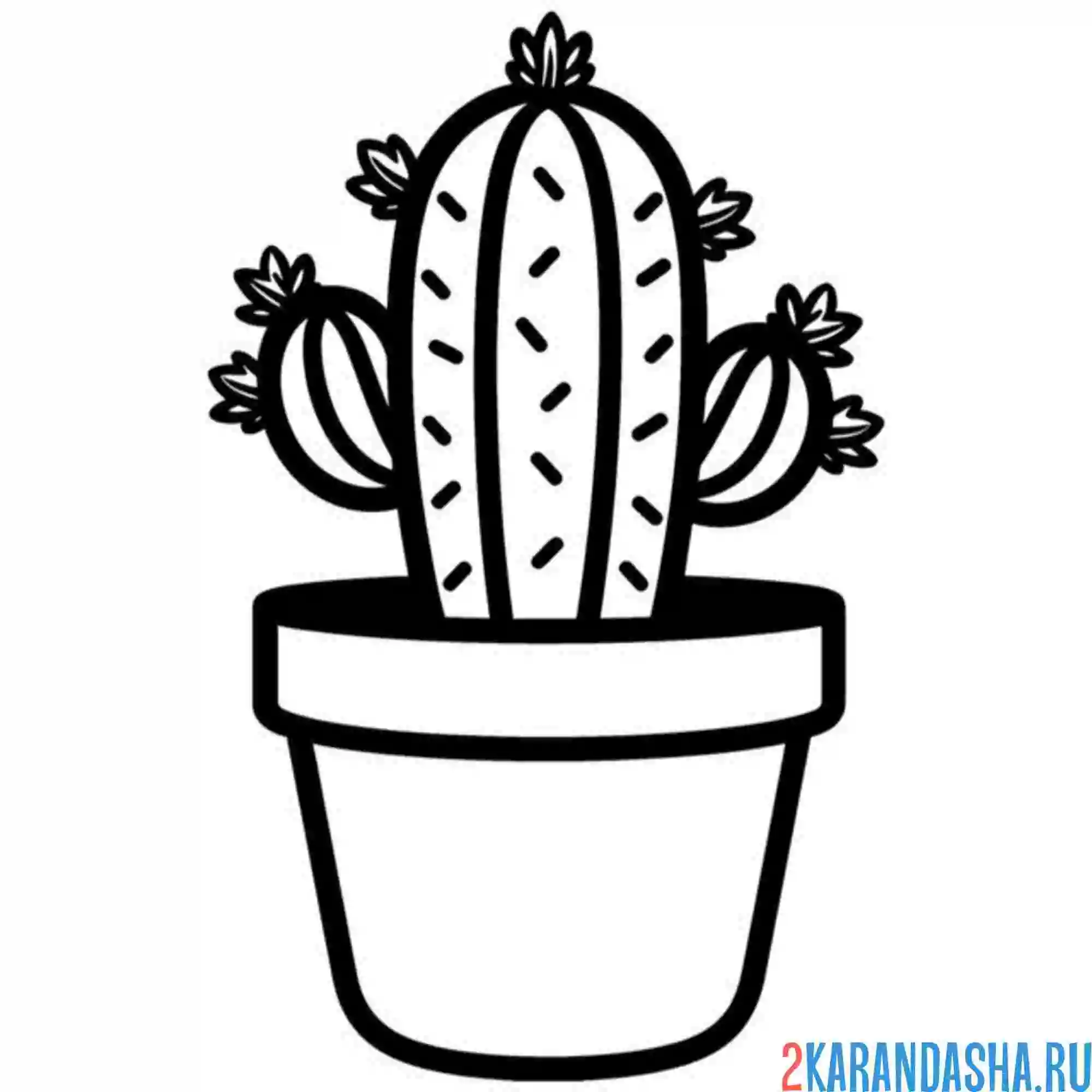 Раскраска простой кактус