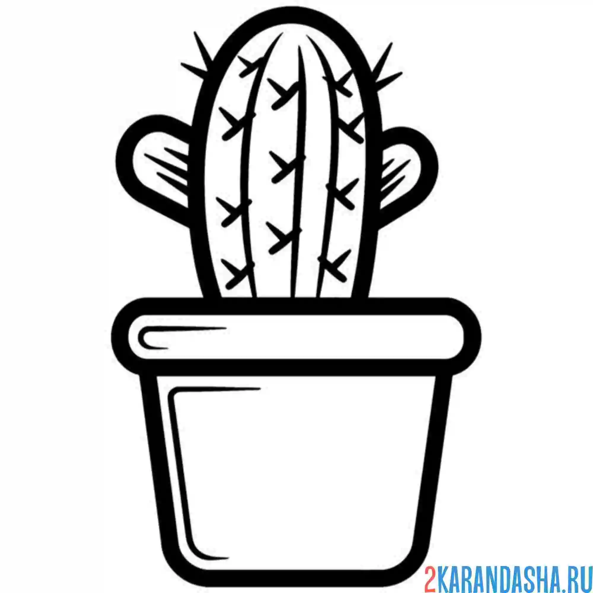 Раскраска кактус с большими иголками