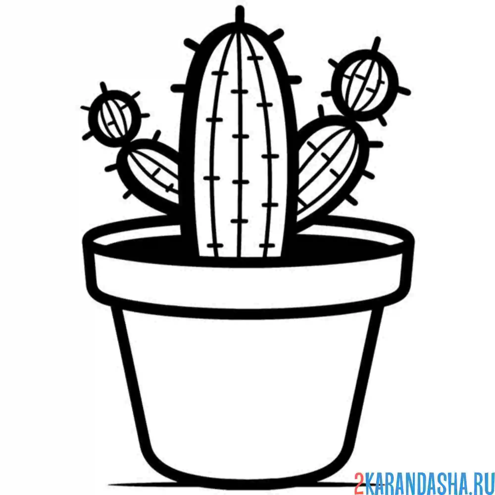 Раскраска маленький кактус в небольшом горшке