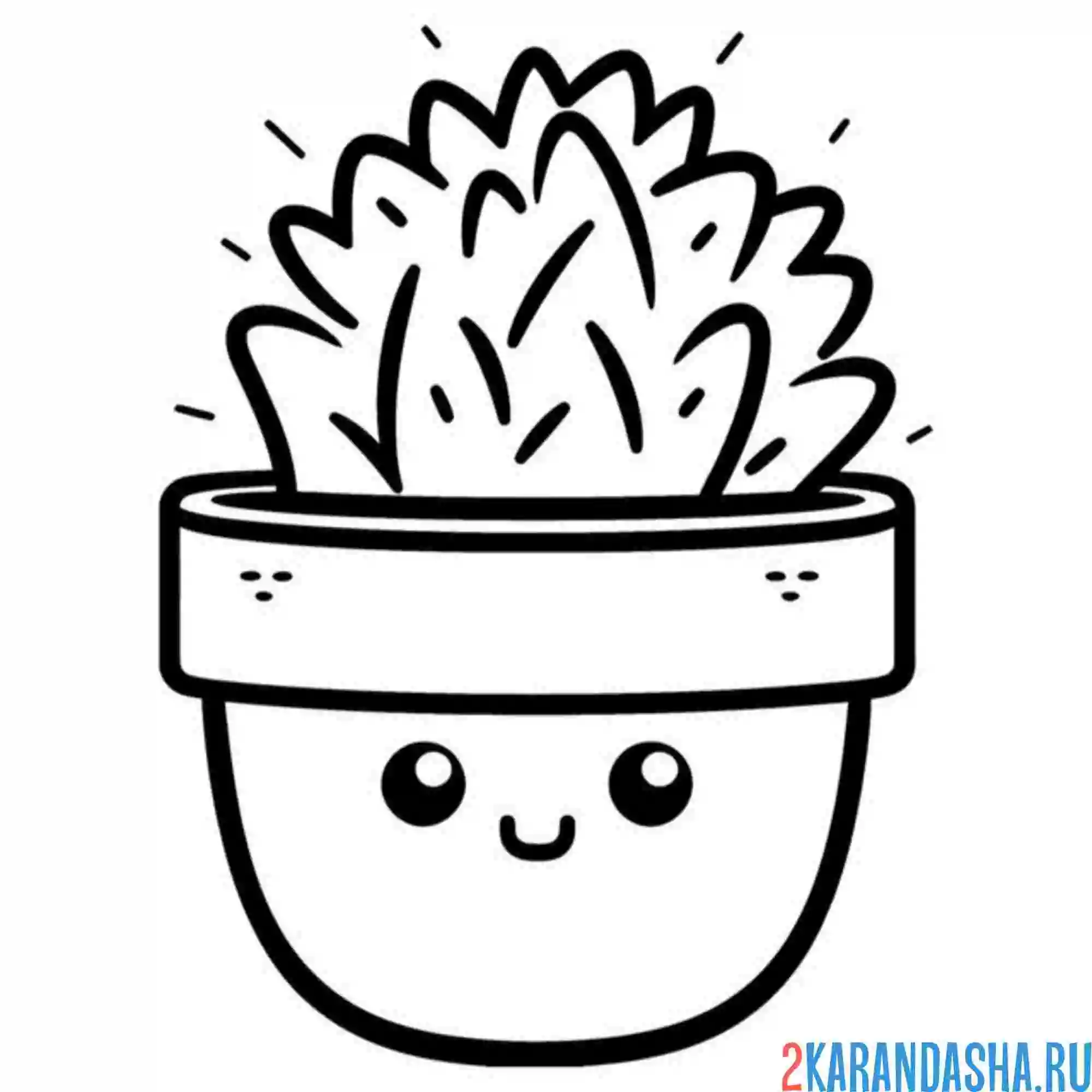 Раскраска суккуленты в горшке