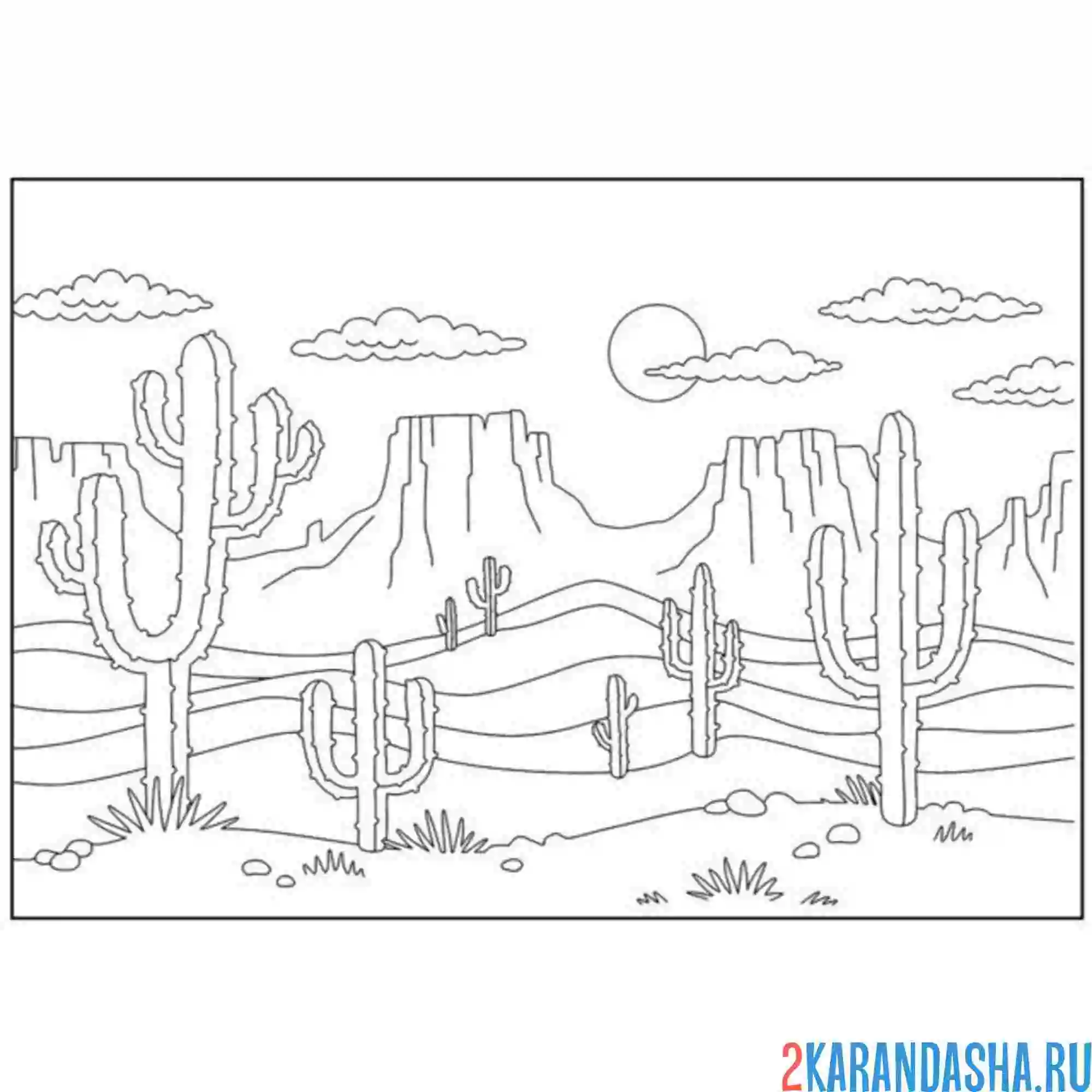 Раскраска большая пустыня и кактусы