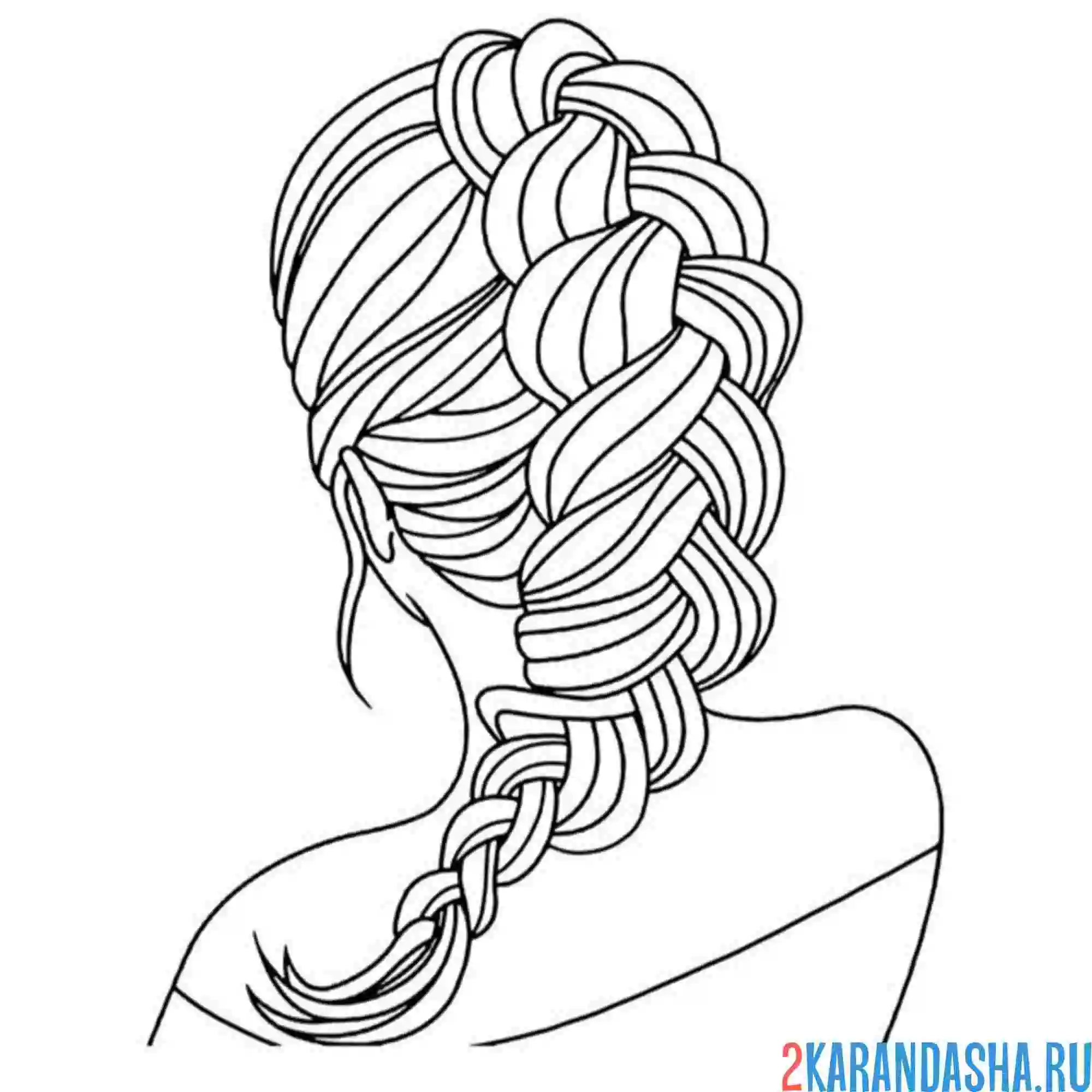 Раскраска колосок вид сзади прическа волосы